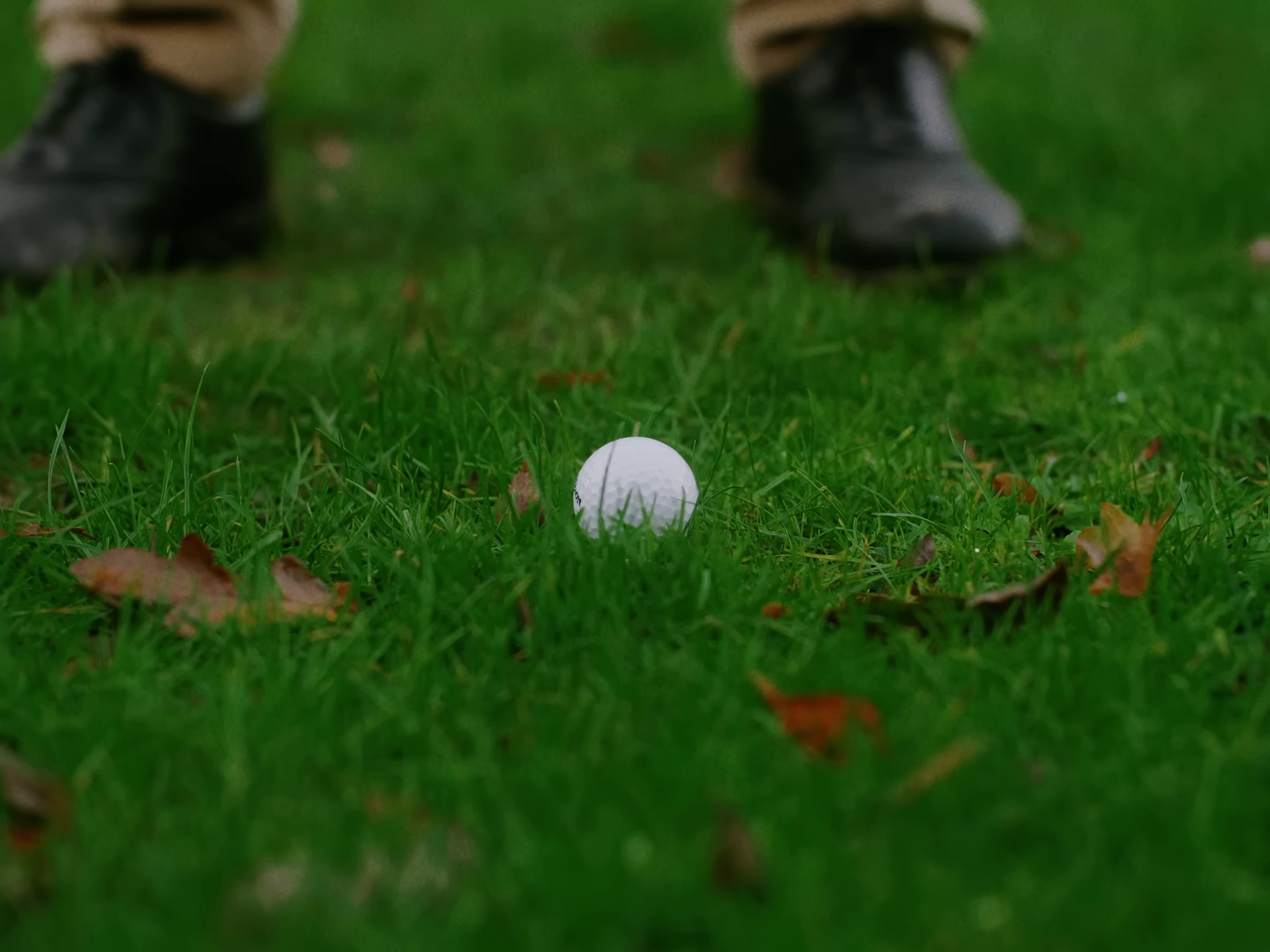 Mulholland's Dinner and Wine (2024) —  shot,  lighting