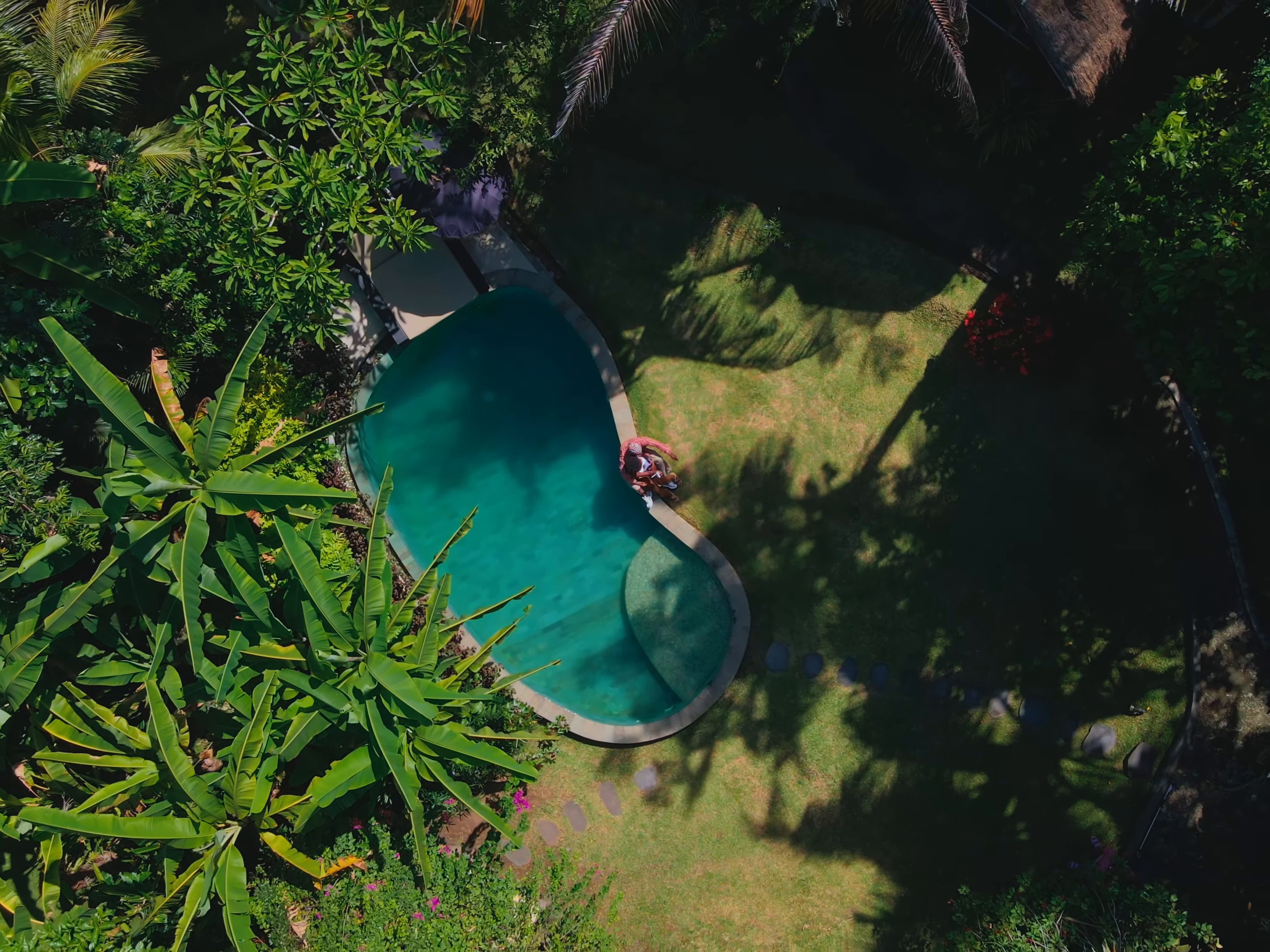 BACK BONE (2024) —  shot,  lighting