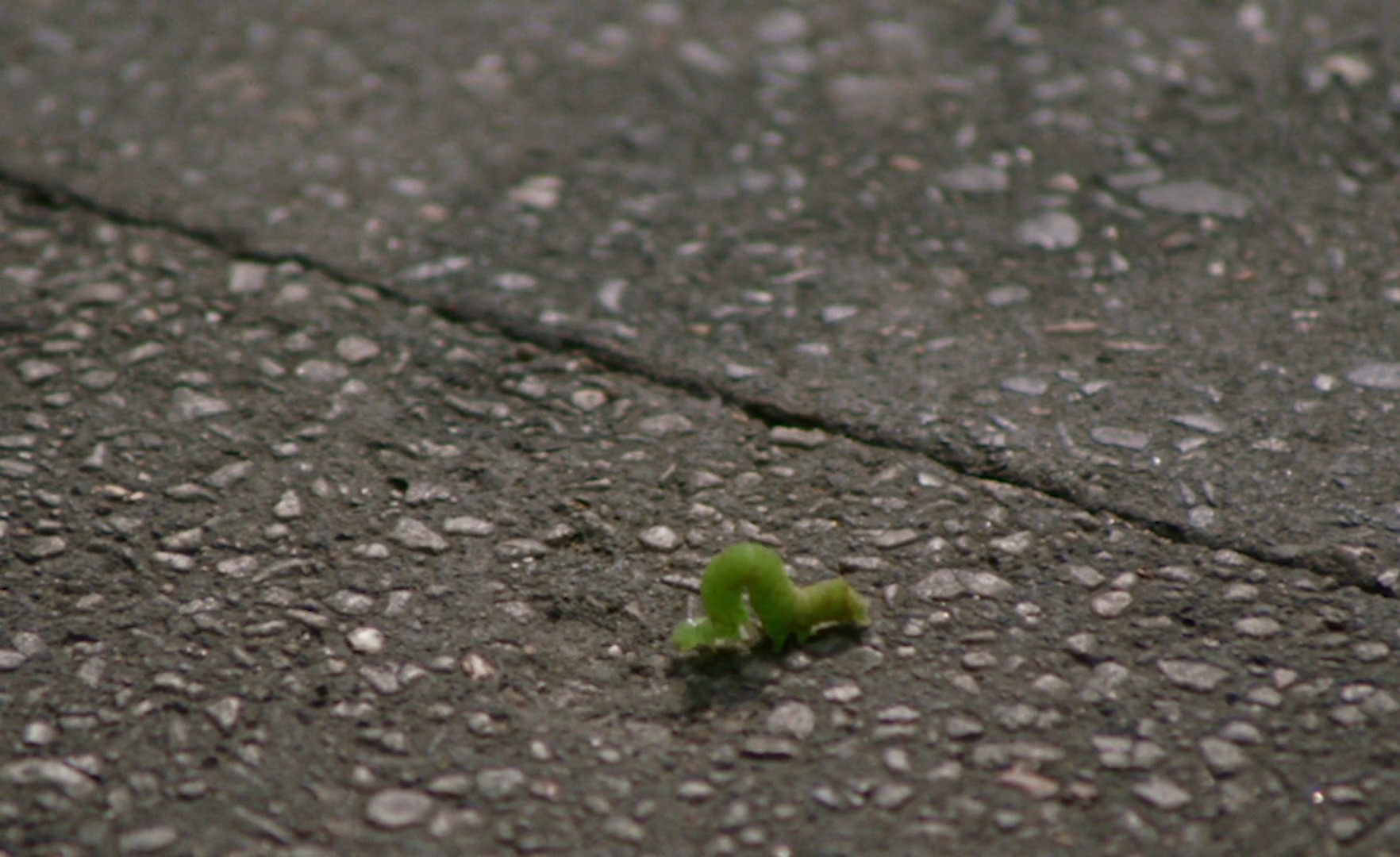 Burial & worm (2022) —  shot,  lighting