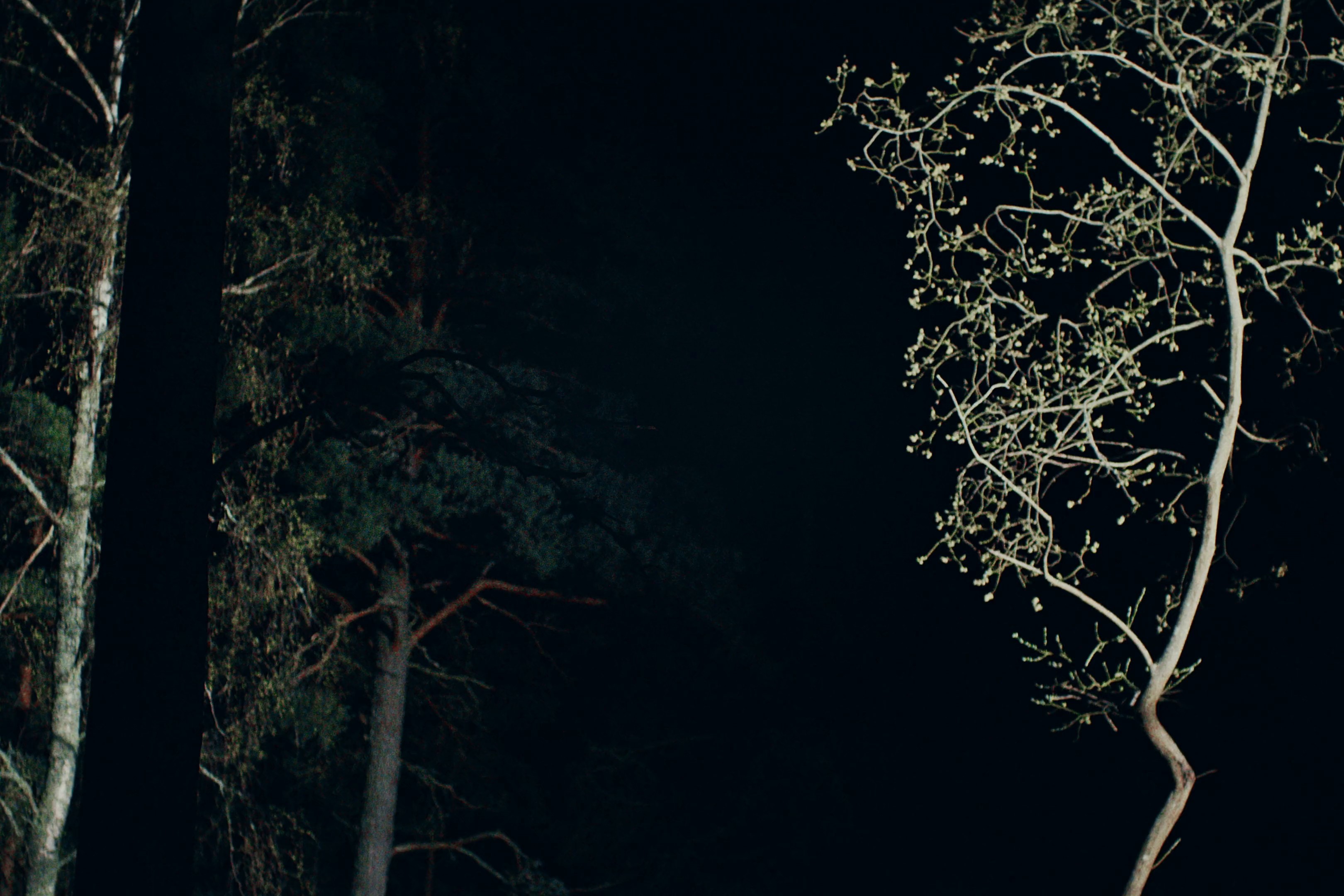 BMW Motorrad – concept R20 (2024) —  shot,  lighting