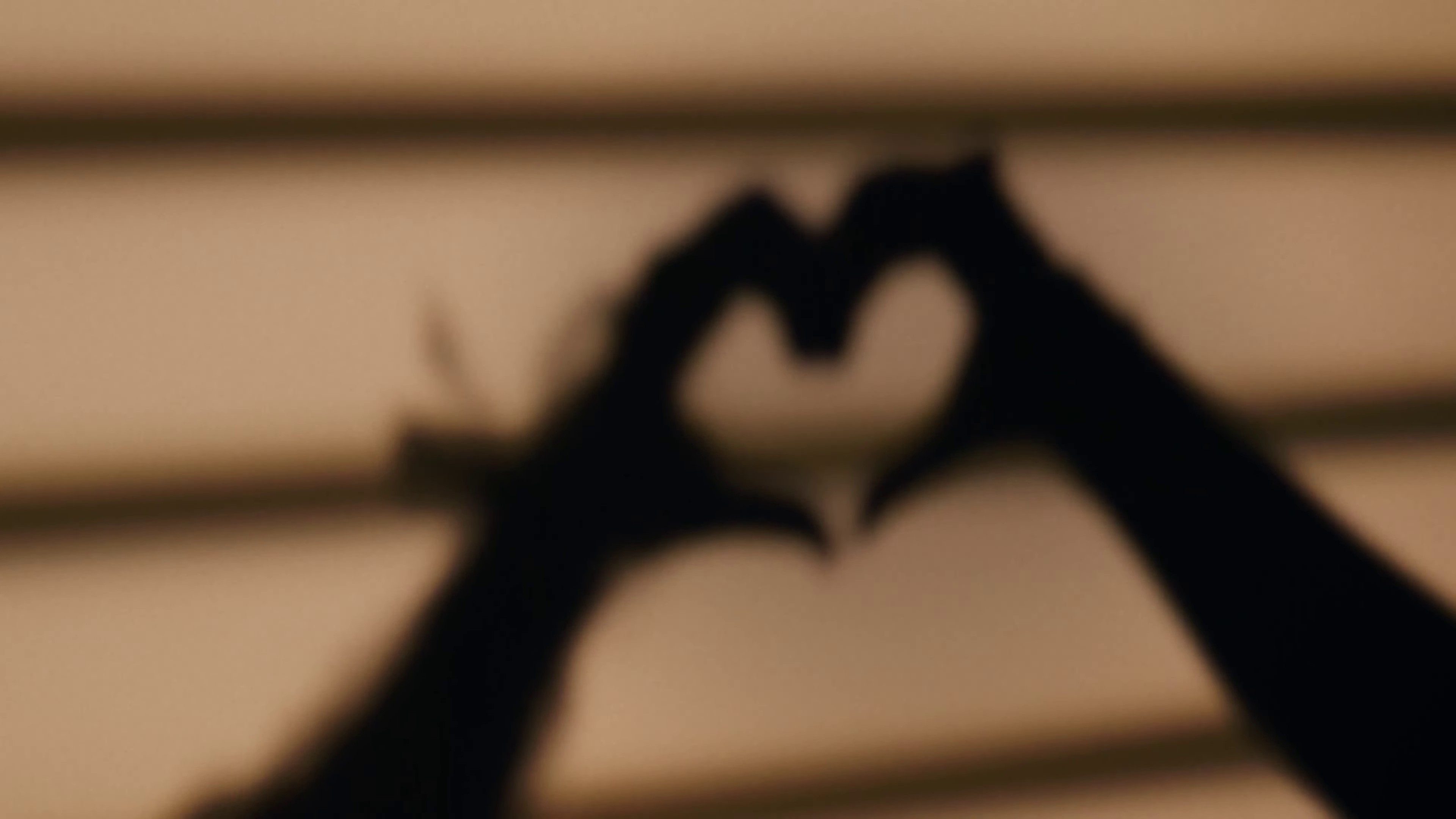 Watercolor Flowers (2023) —  shot,  lighting