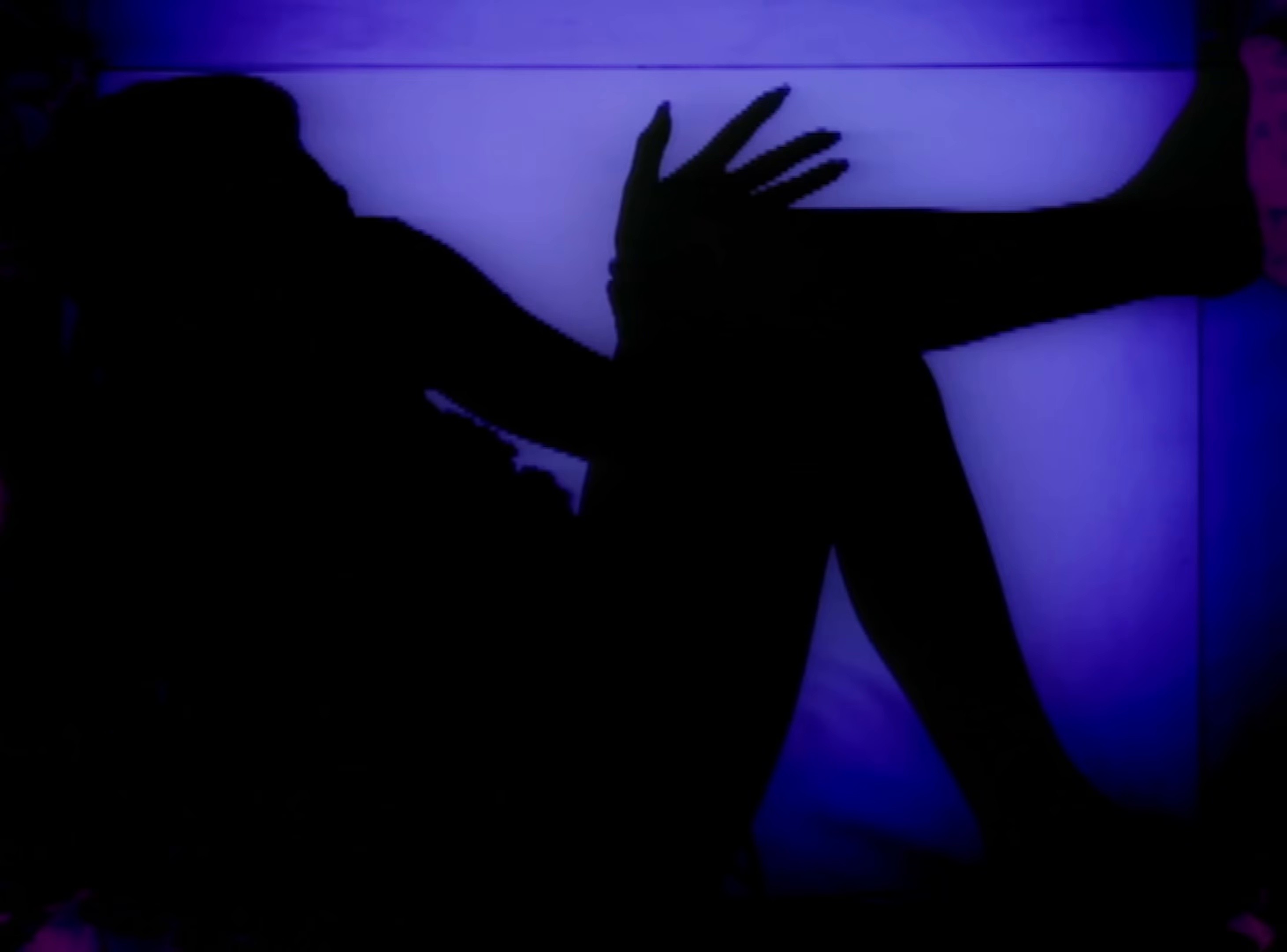 Animal (2024) —  shot,  lighting