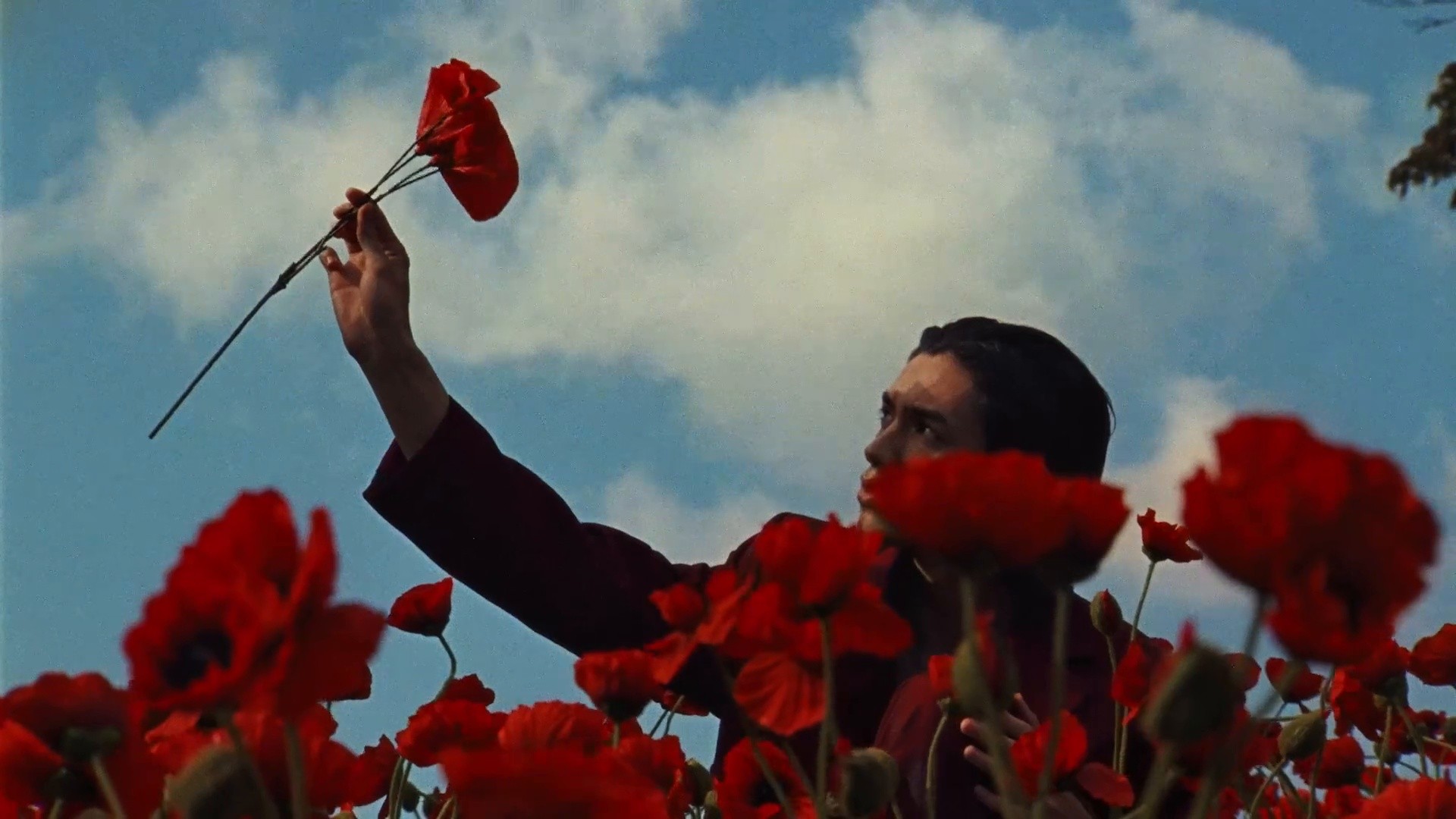 Jo Malone - Cologne Intense Japan (2025) —  shot,  lighting