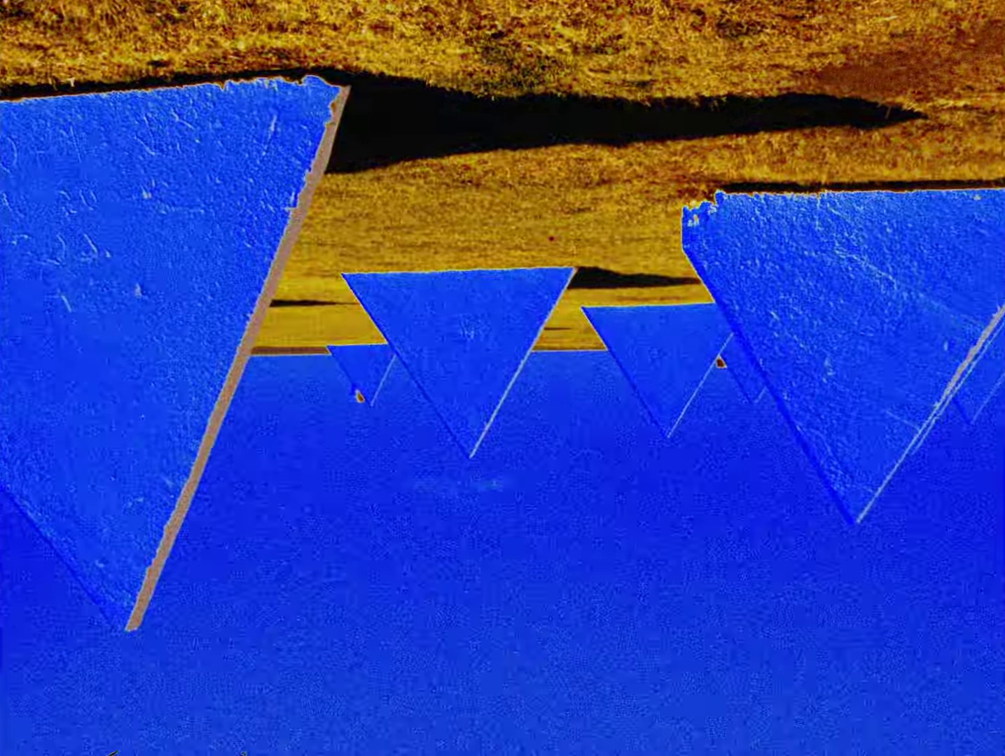 Summer Days (2024) —  shot,  lighting