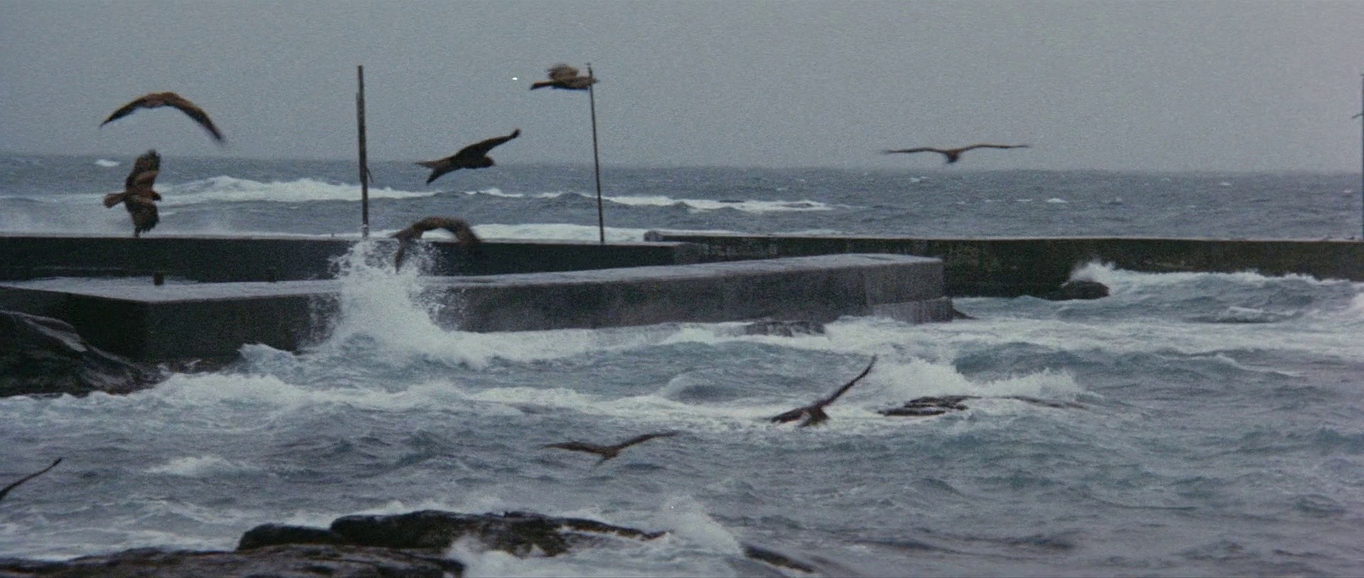 Hokuriku Proxy War (1977) —  shot,  lighting