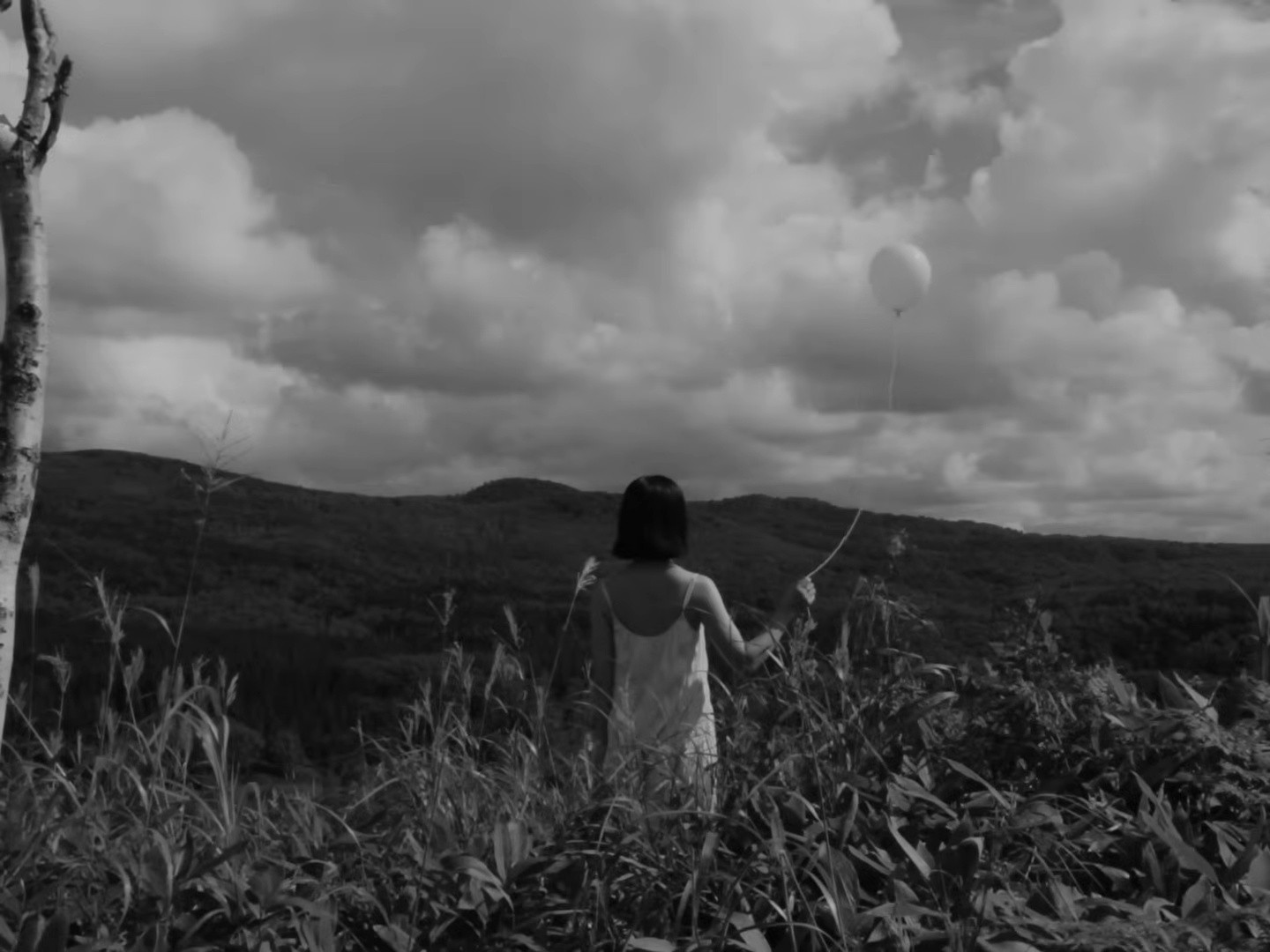 Sunlight (2025) —  shot,  lighting