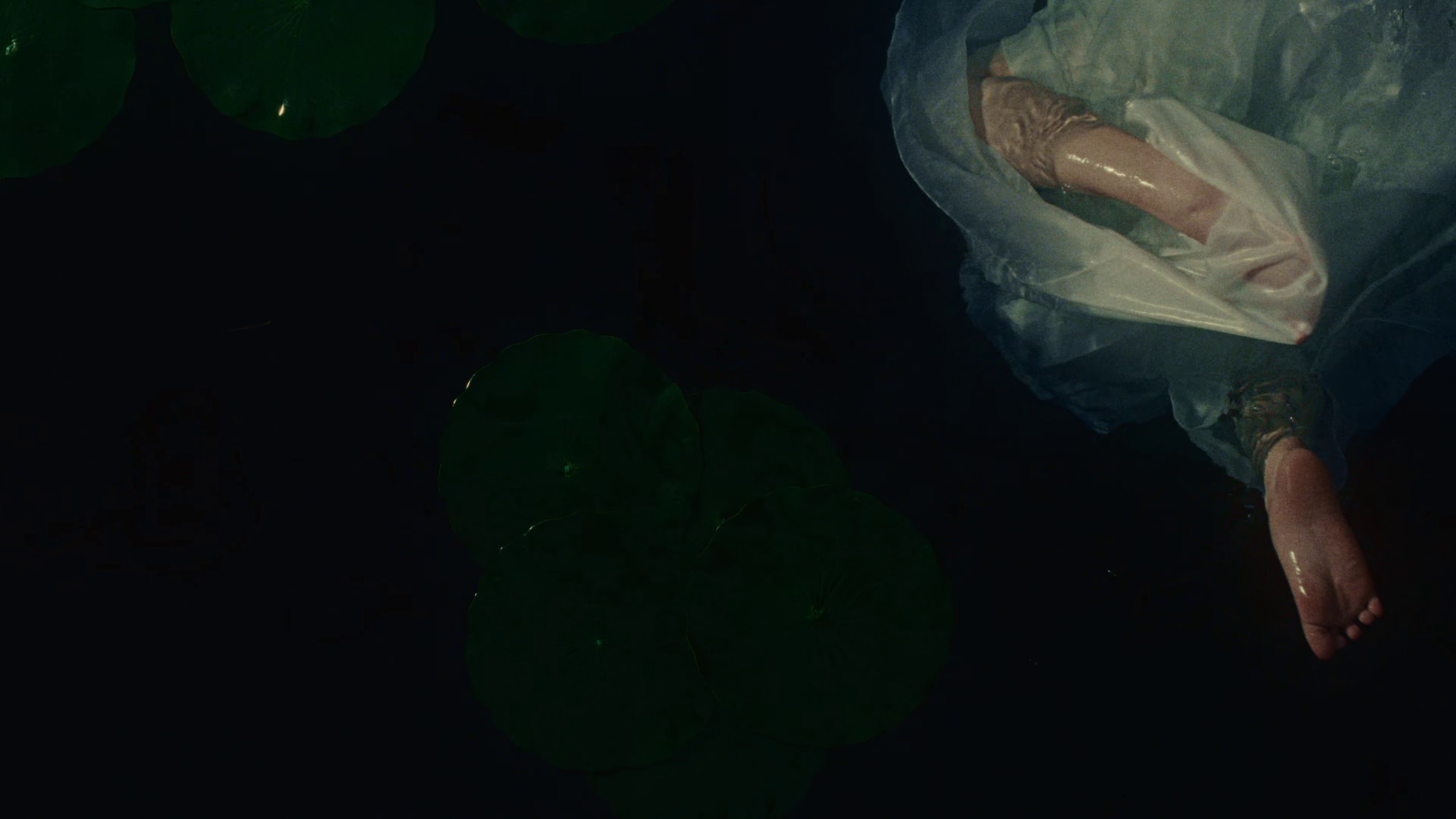 Your face (2023) —  shot,  lighting