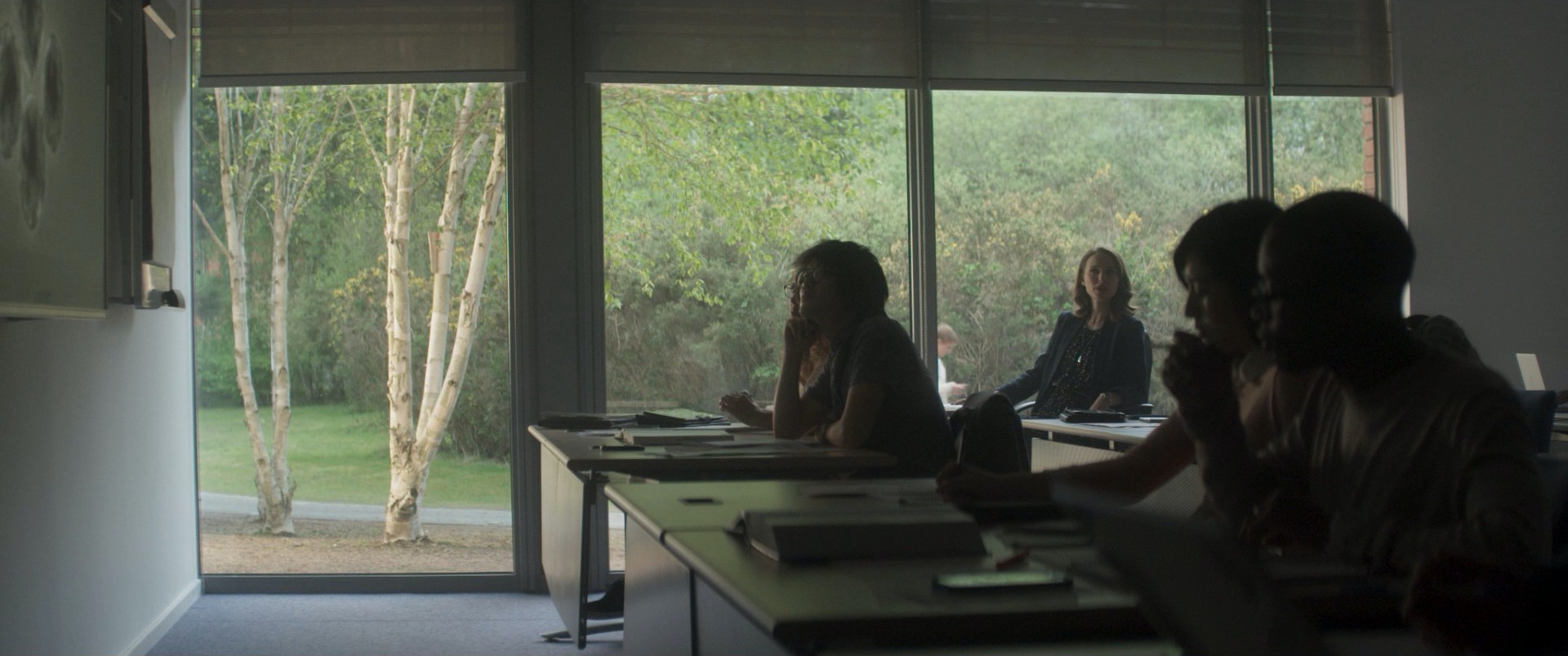 Annihilation (2018) —  shot,  lighting