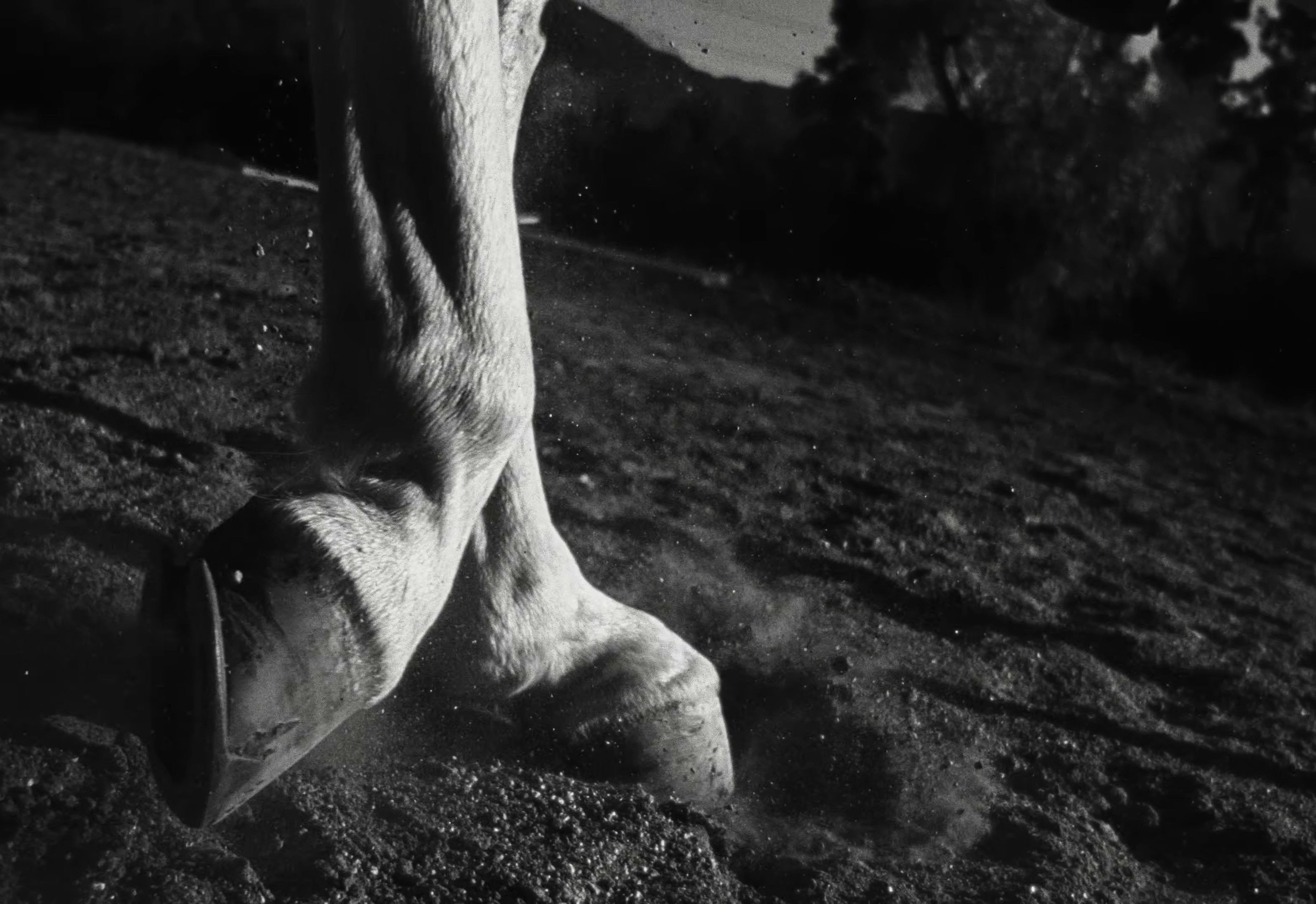 Appaloosa (2025) —  shot,  lighting