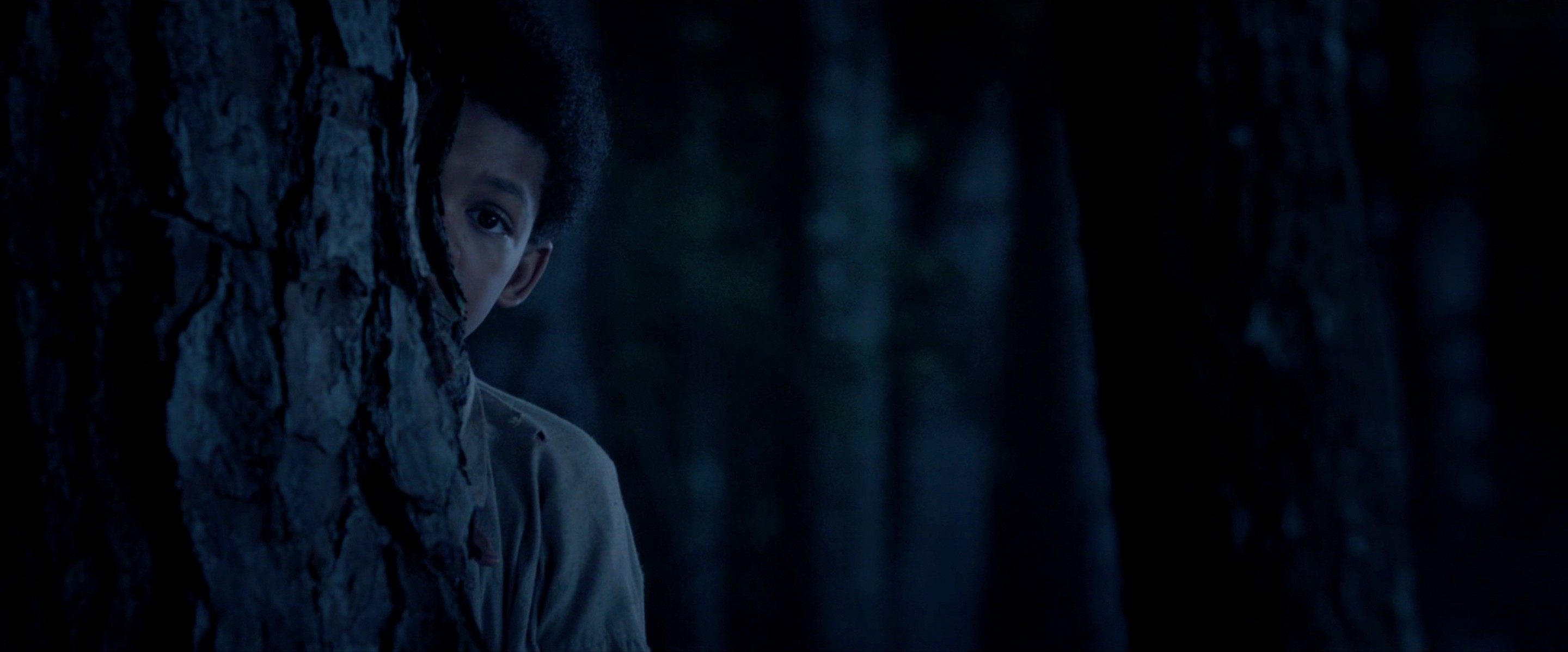 The Birth of a Nation (2016) —  shot,  lighting