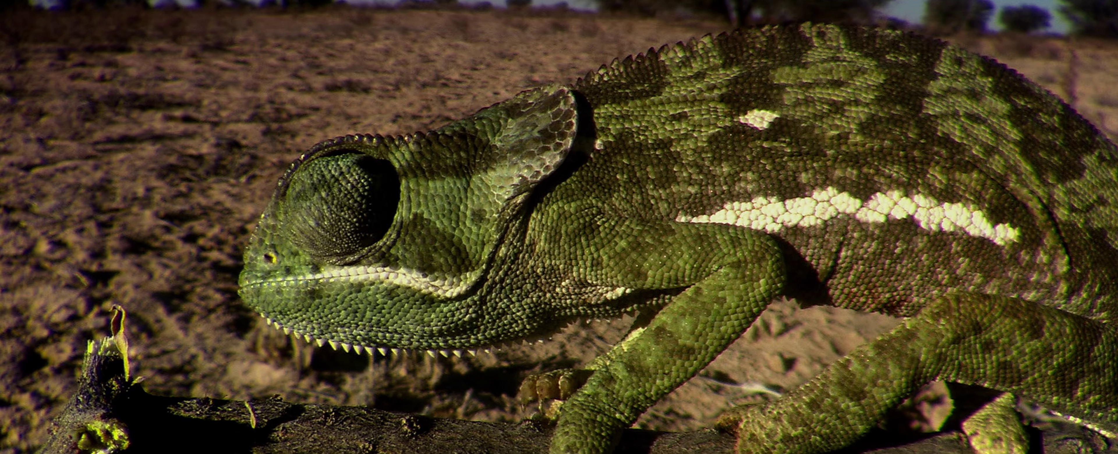 Imma Be (2010) —  shot,  lighting