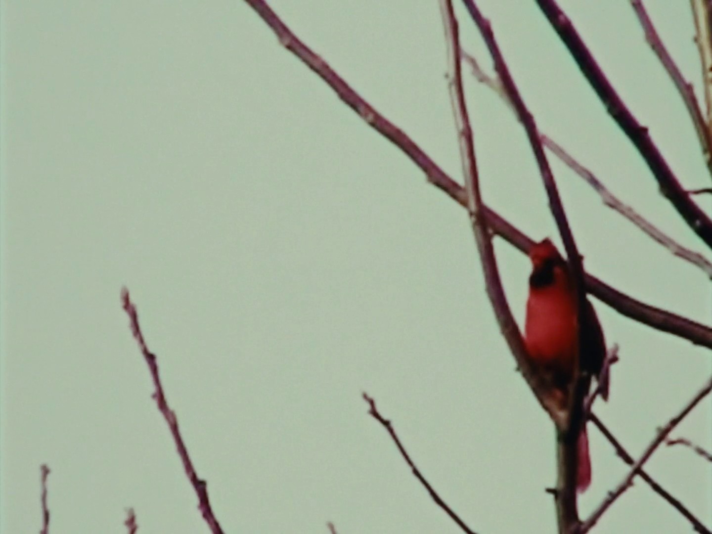 BLOKKE GEPIKT (2024) —  shot,  lighting