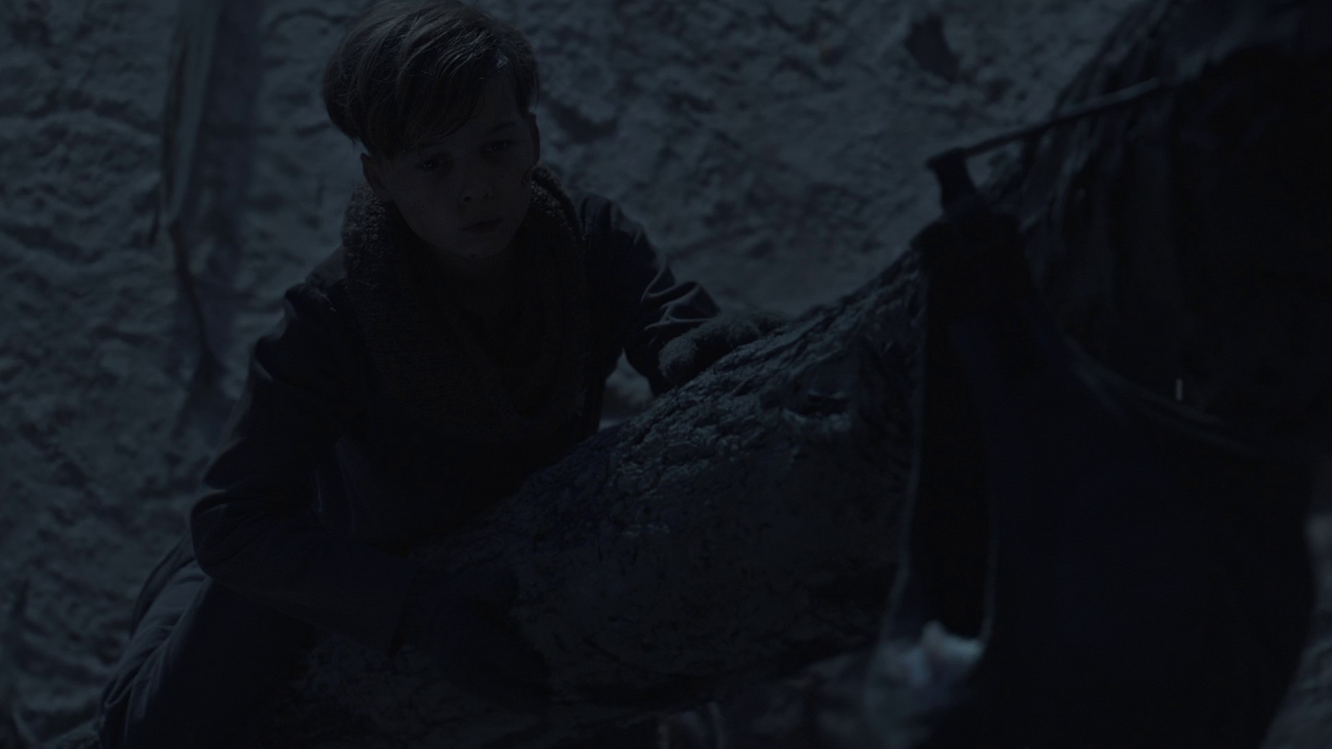 Nature's Course (2020) —  shot,  lighting