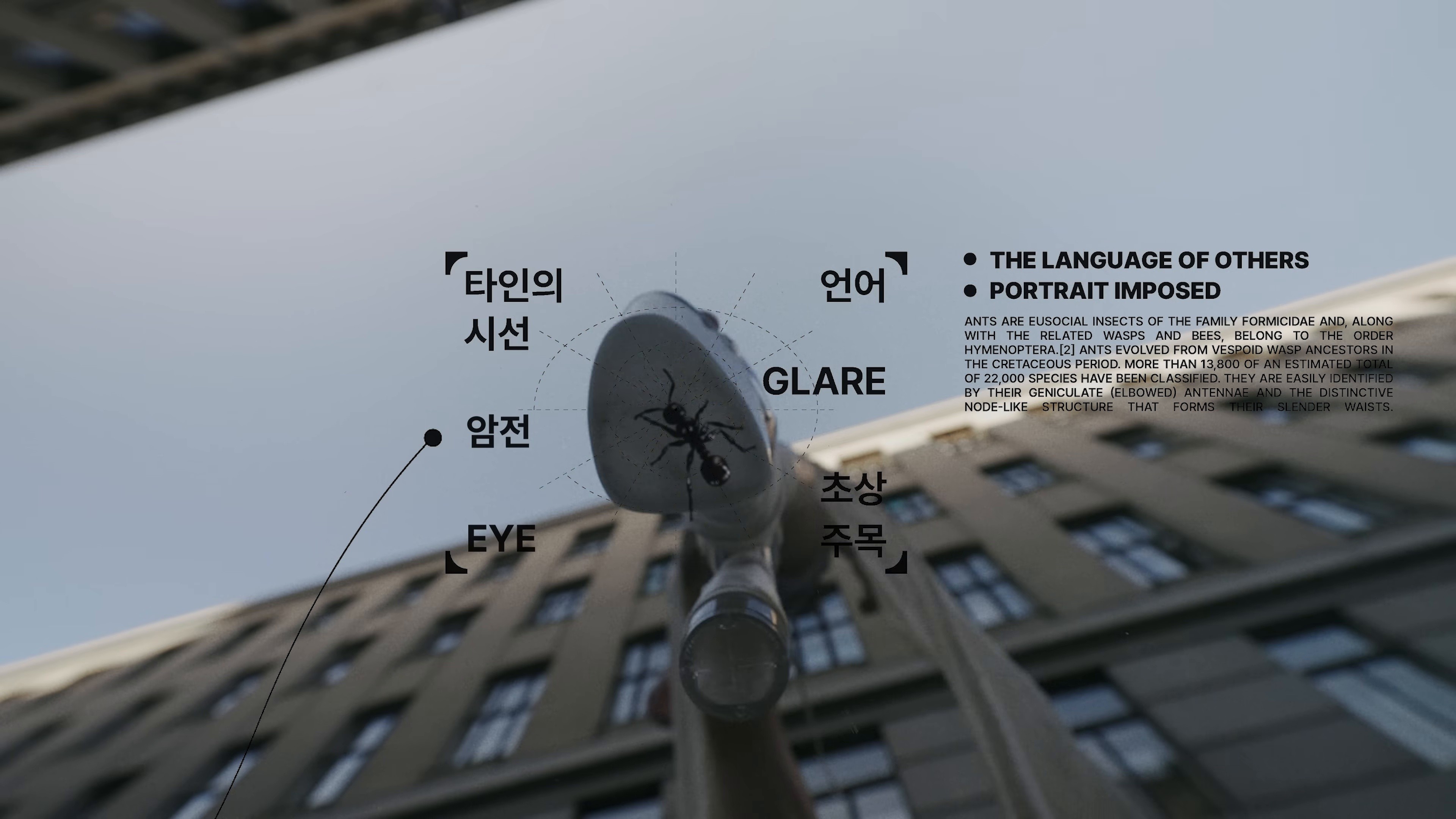 TUNNEL VISION (2025) —  shot,  lighting