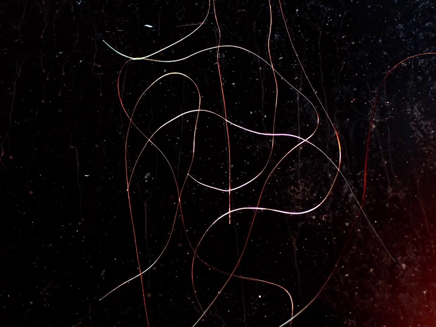 Castelmaure (2018) —  shot,  lighting