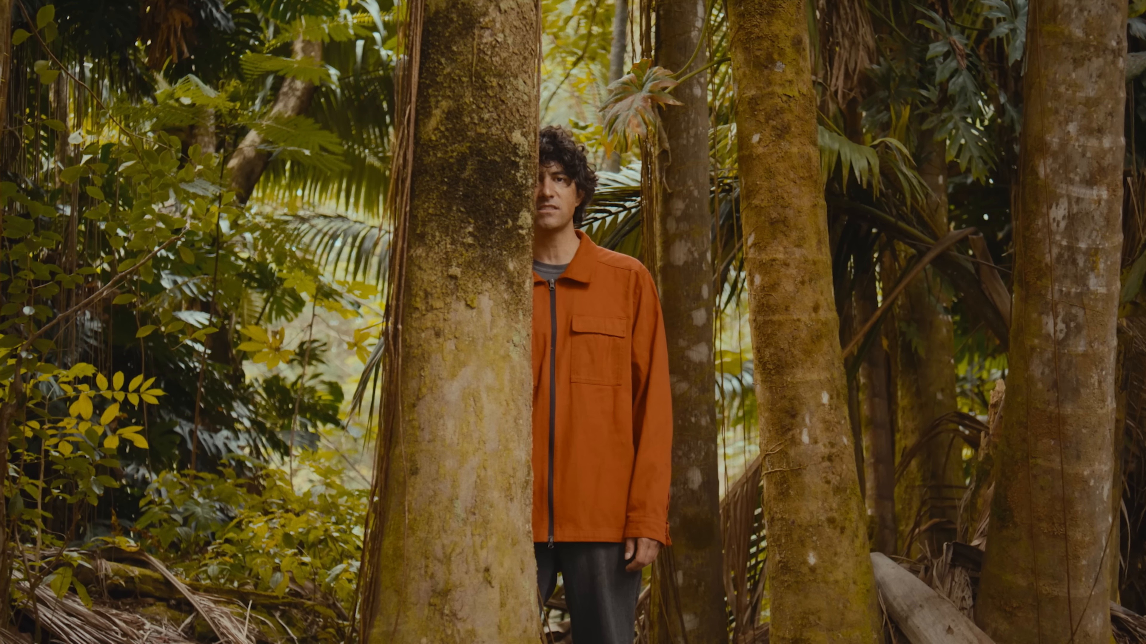 Only If You Say So (2024) —  shot,  lighting