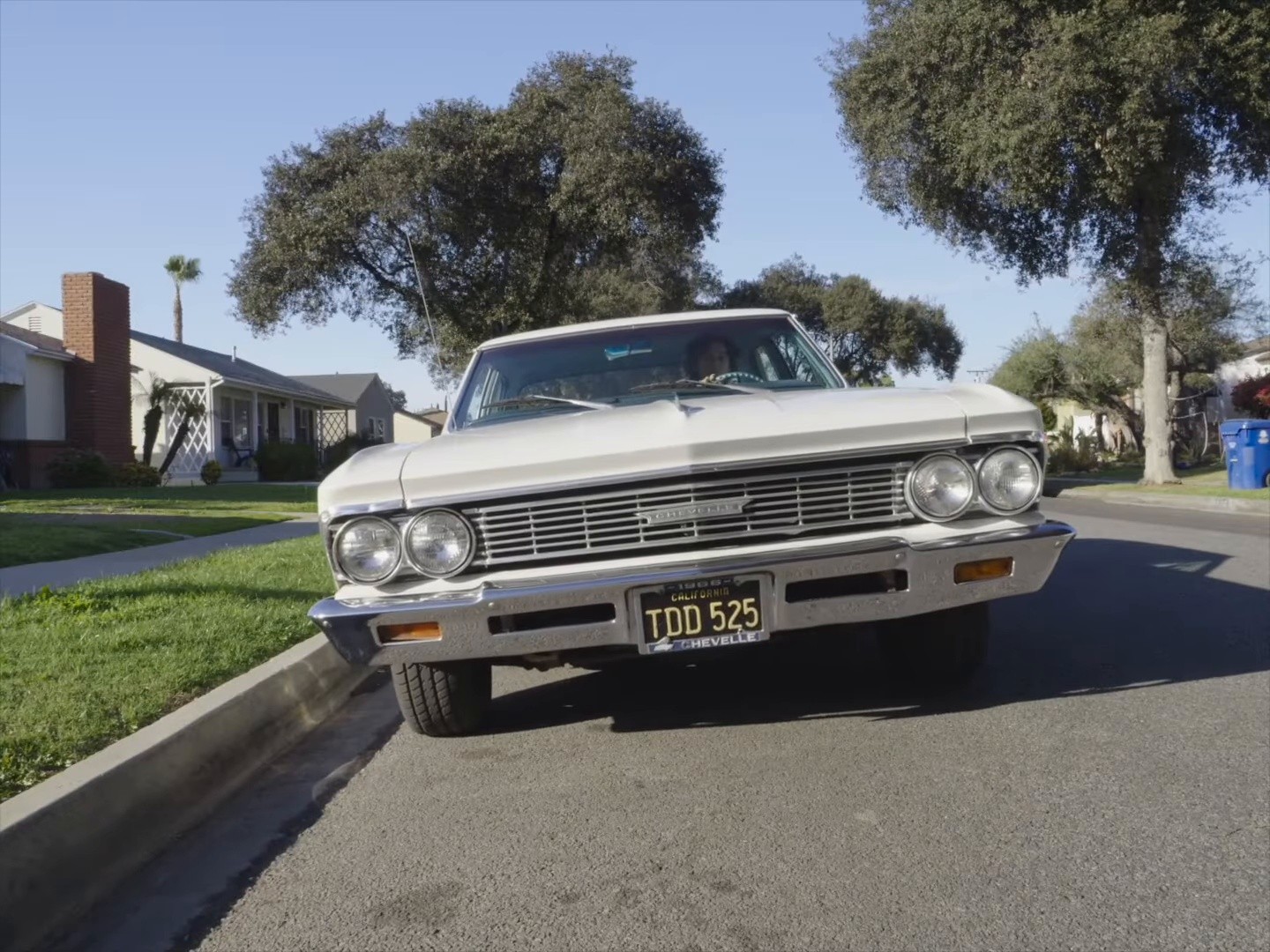Venice Beach (2026) —  shot,  lighting