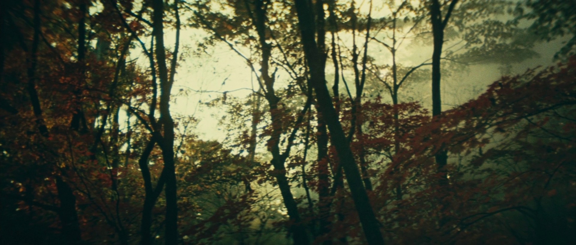 Legend of the Mountain (1979) —  shot,  lighting