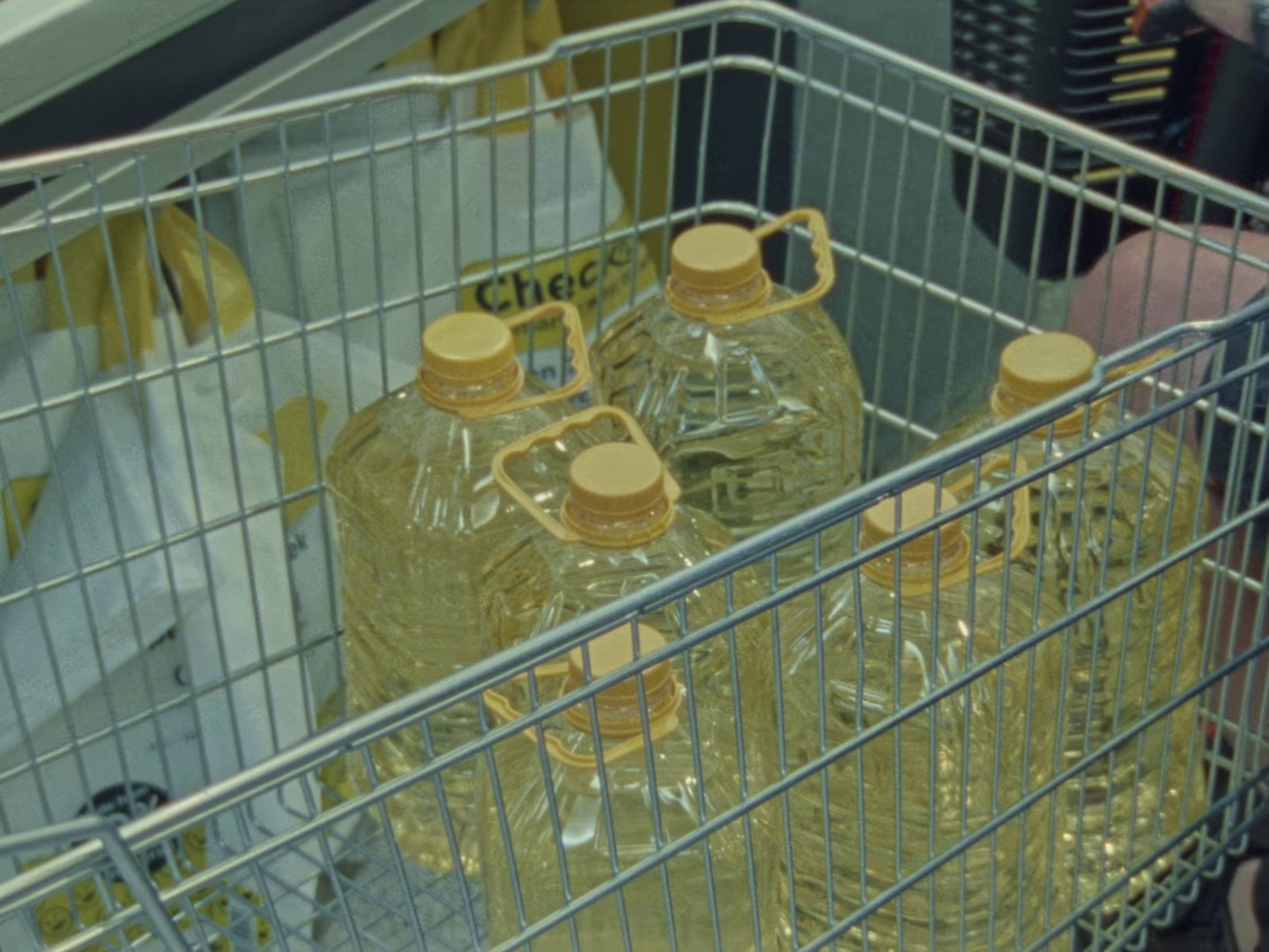 GIFT HORSE (2024) —  shot,  lighting