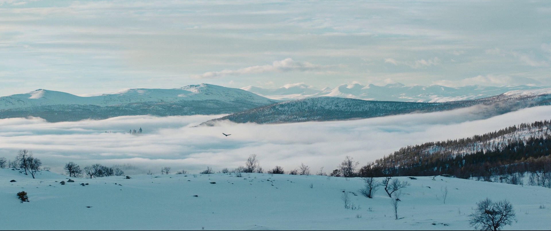 Three Wishes for Cinderella (2021) —  shot,  lighting