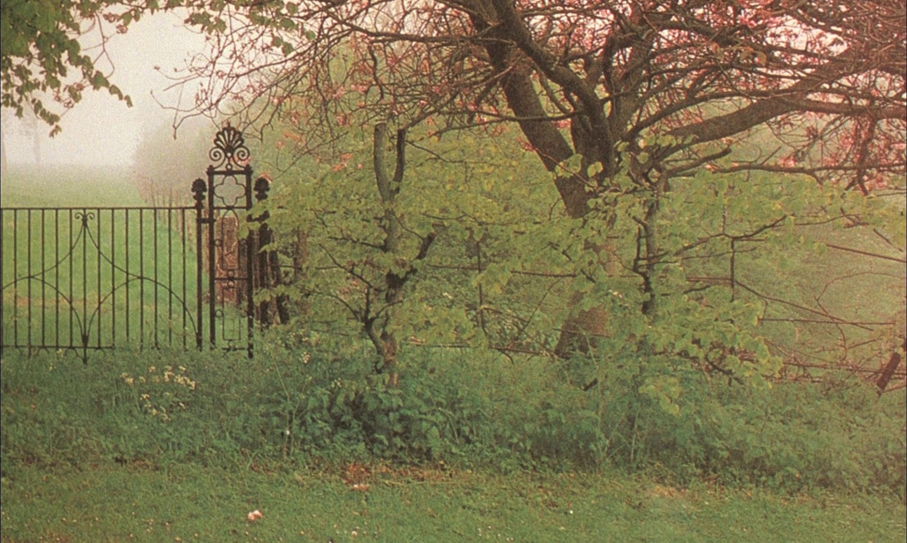 A Zed & Two Noughts (1985) —  shot,  lighting