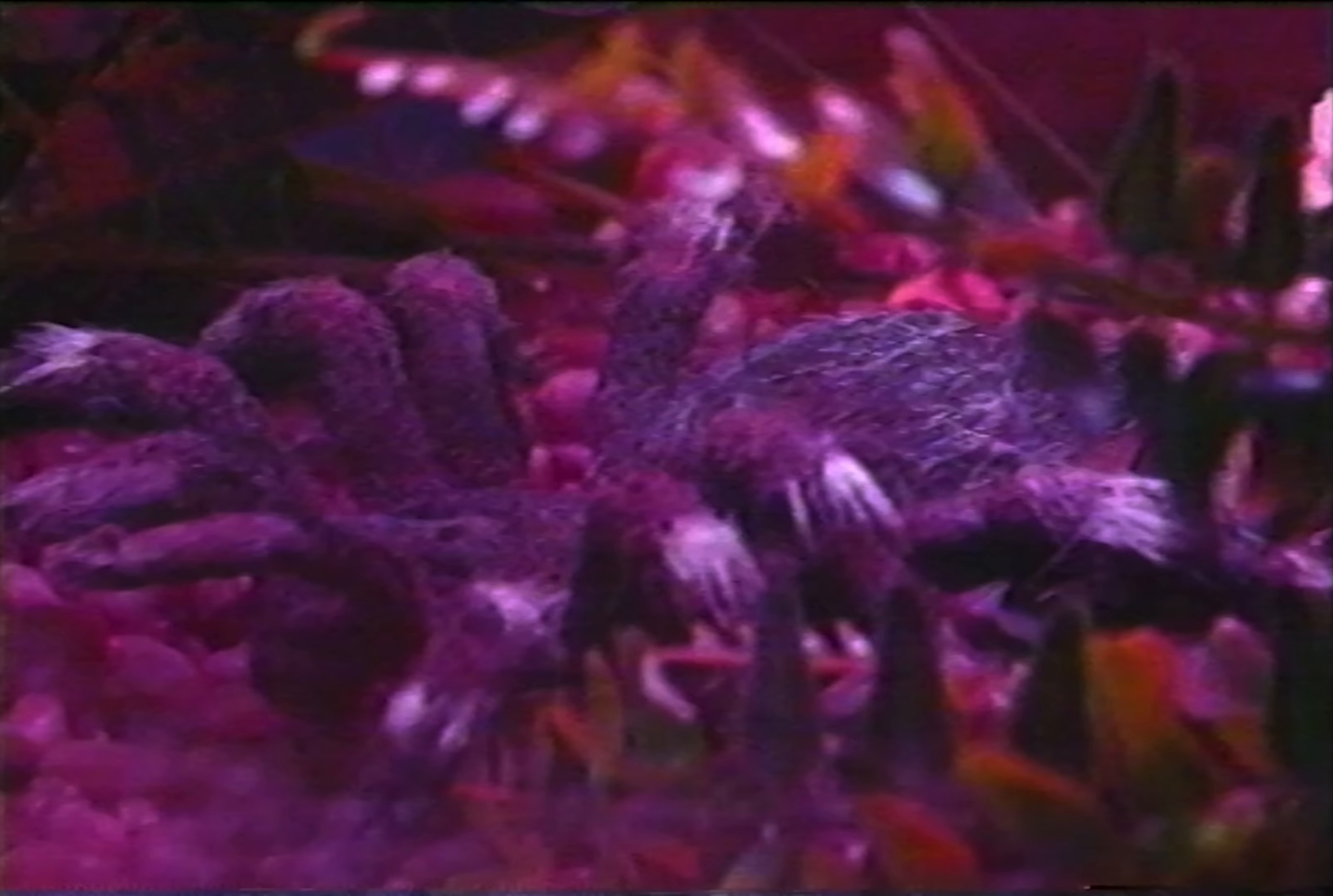 Supersad (2024) —  shot,  lighting