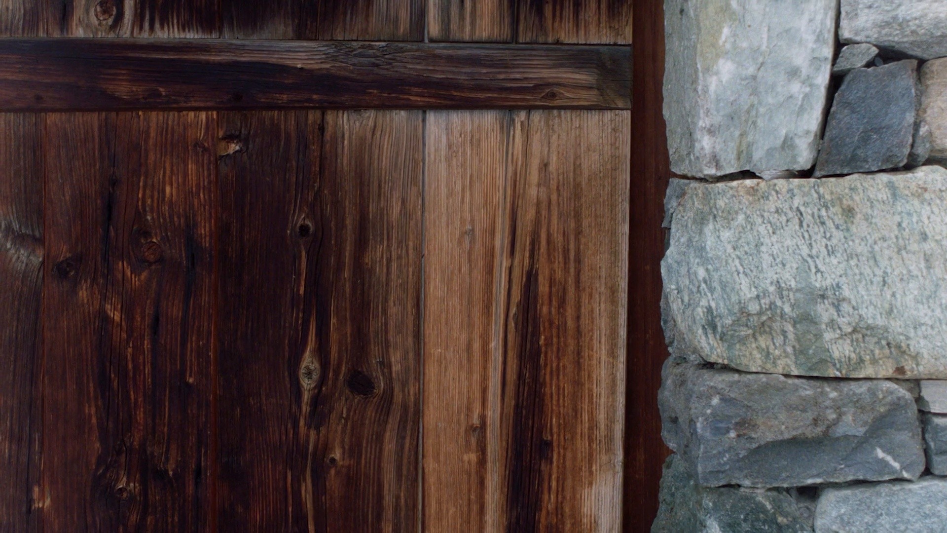 MASSIMO DUTTI - STINI ROEHRS (2025) —  shot,  lighting