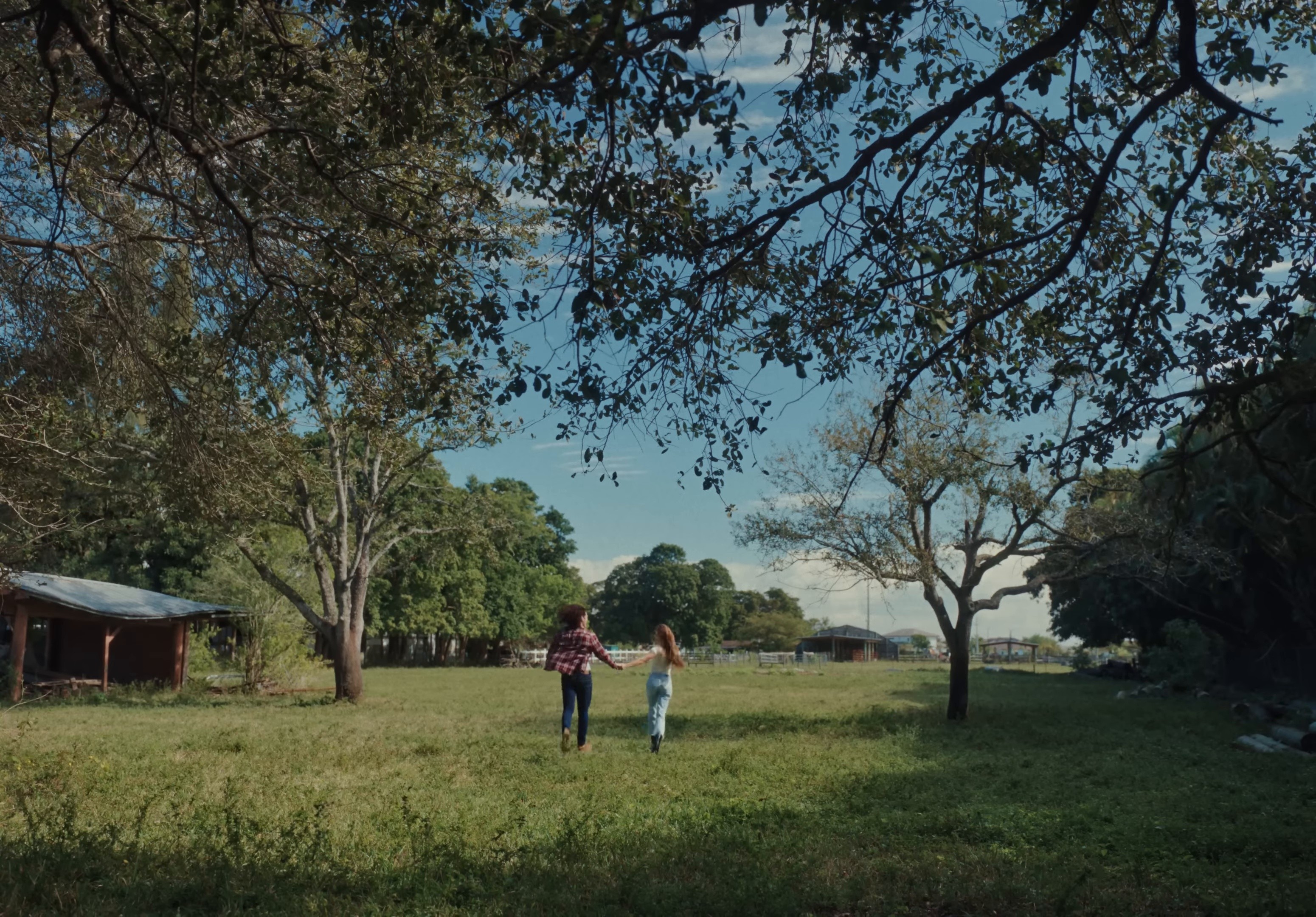 VENGA lo que VENGA (2025) —  shot,  lighting