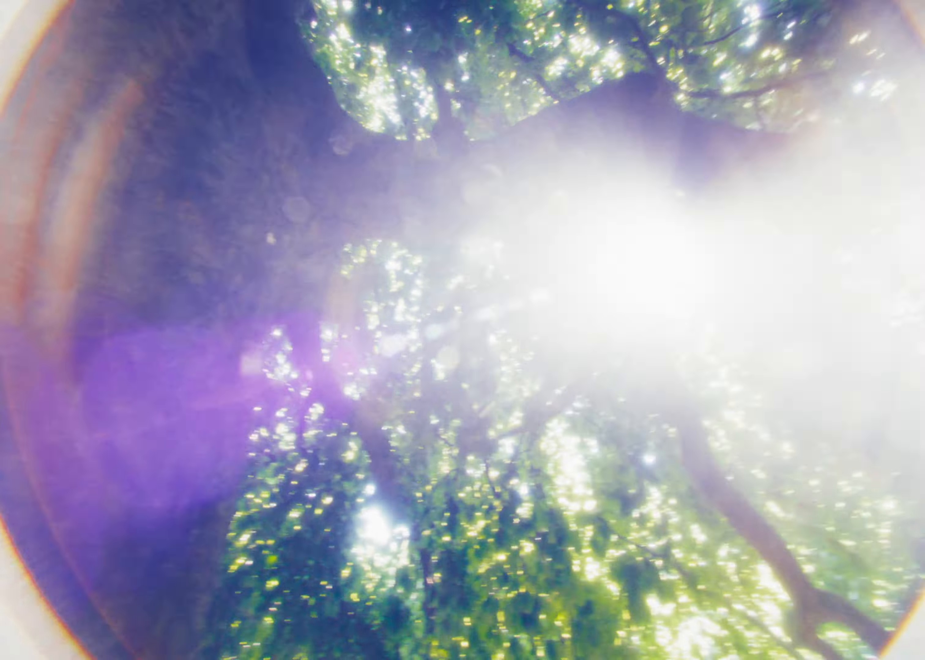 Levels (2024) —  shot,  lighting