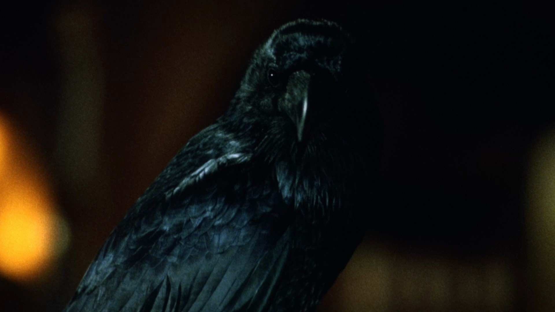 Doctor Mordrid (1993) —  shot,  lighting