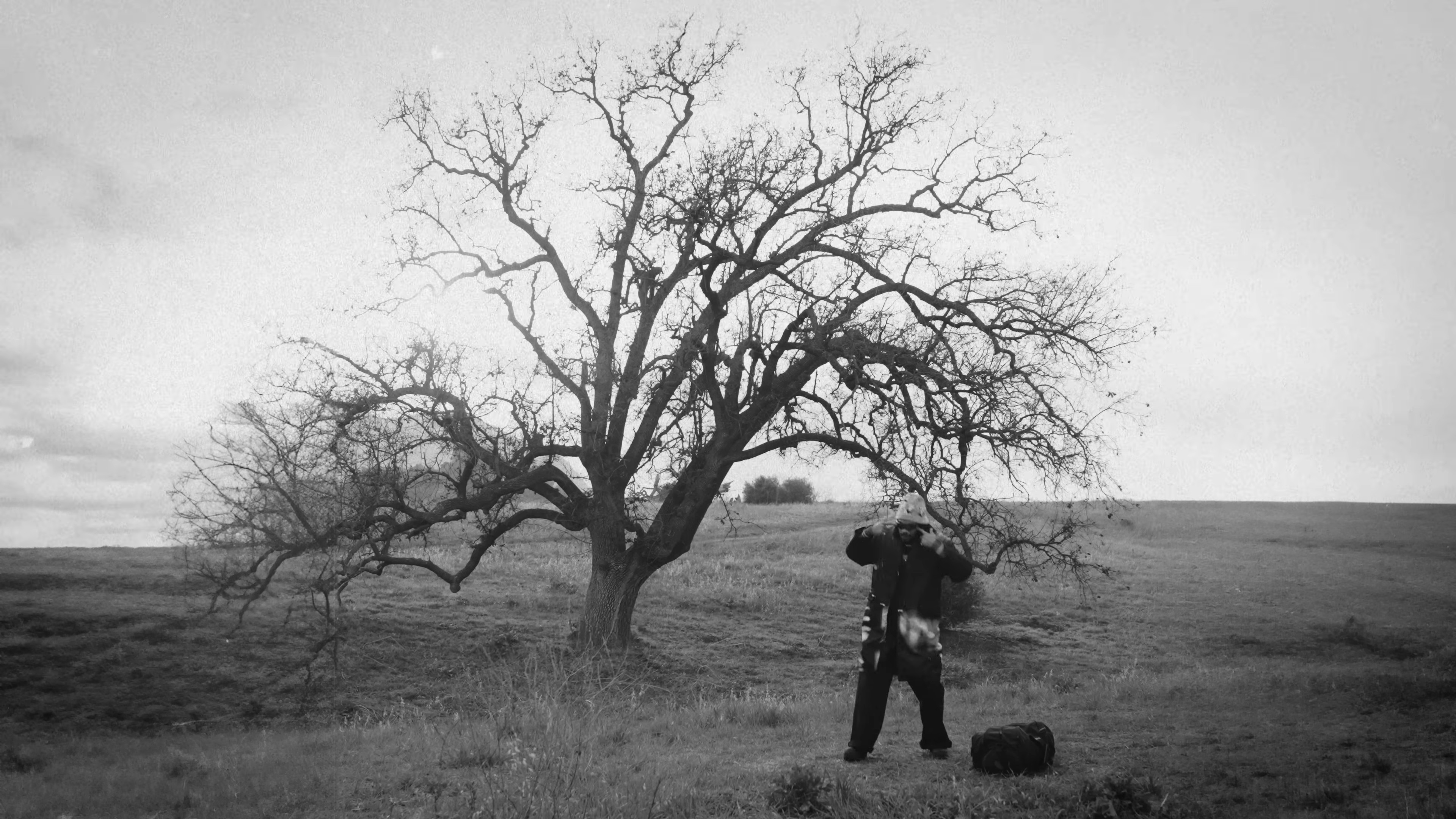 Instincts (2024) —  shot,  lighting