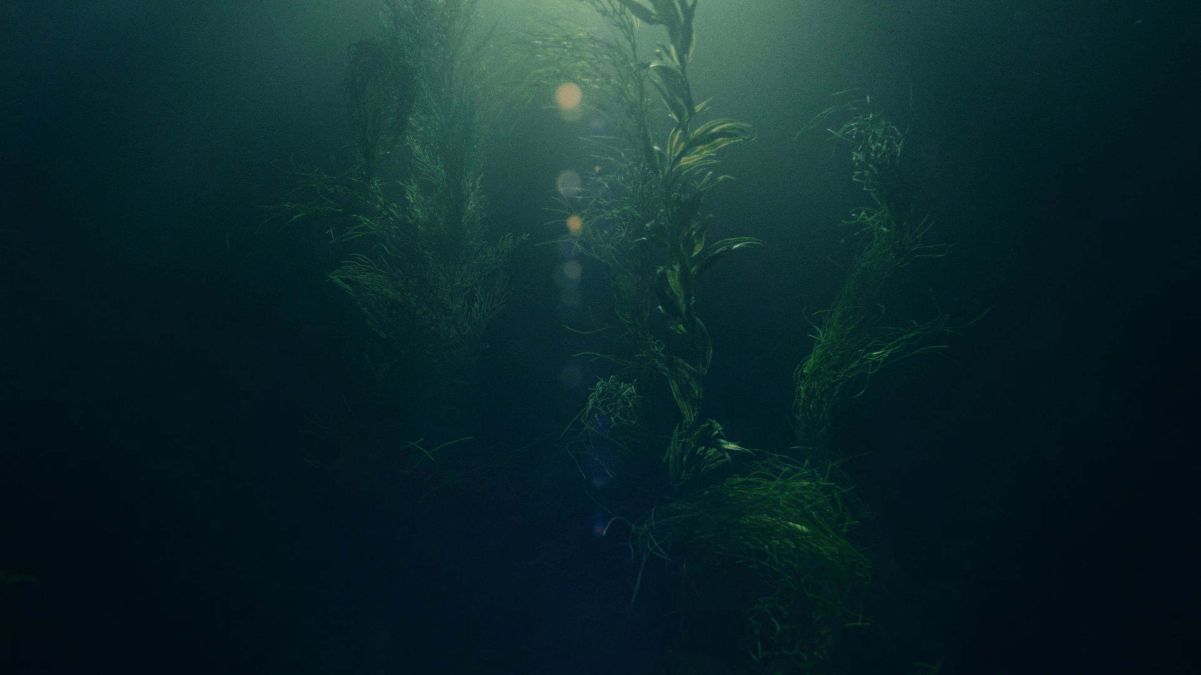 Your face (2023) —  shot,  lighting