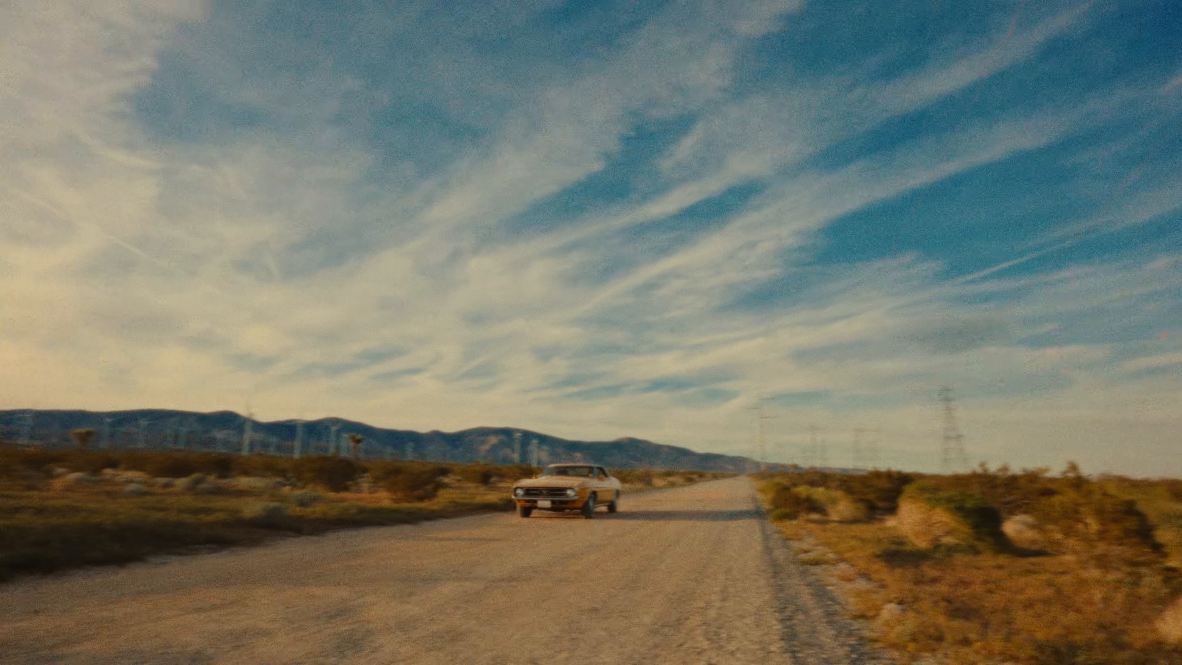 Abejas a la Miel (2024) —  shot,  lighting