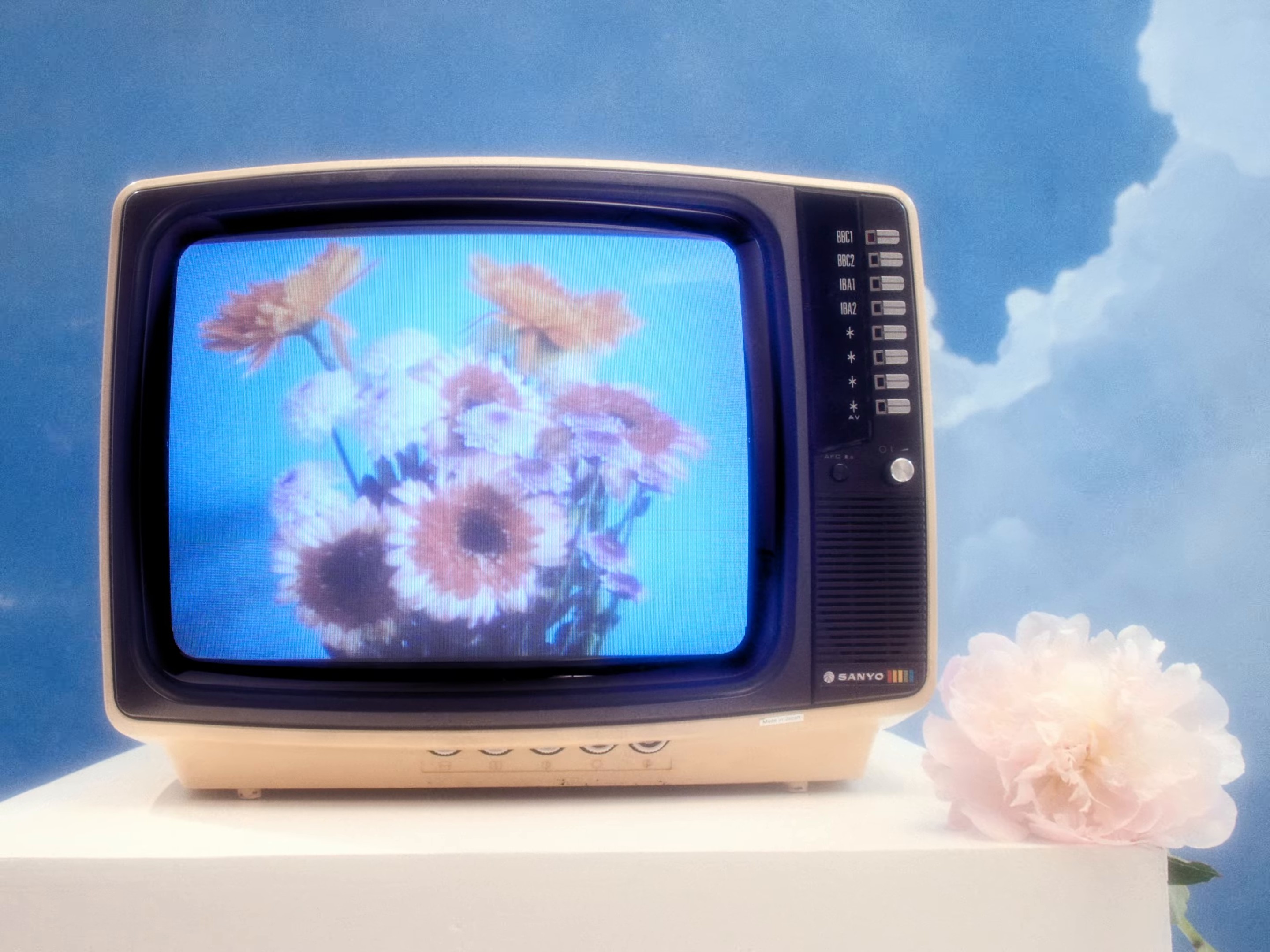 'Bul Bul Bul' (2024) —  shot,  lighting