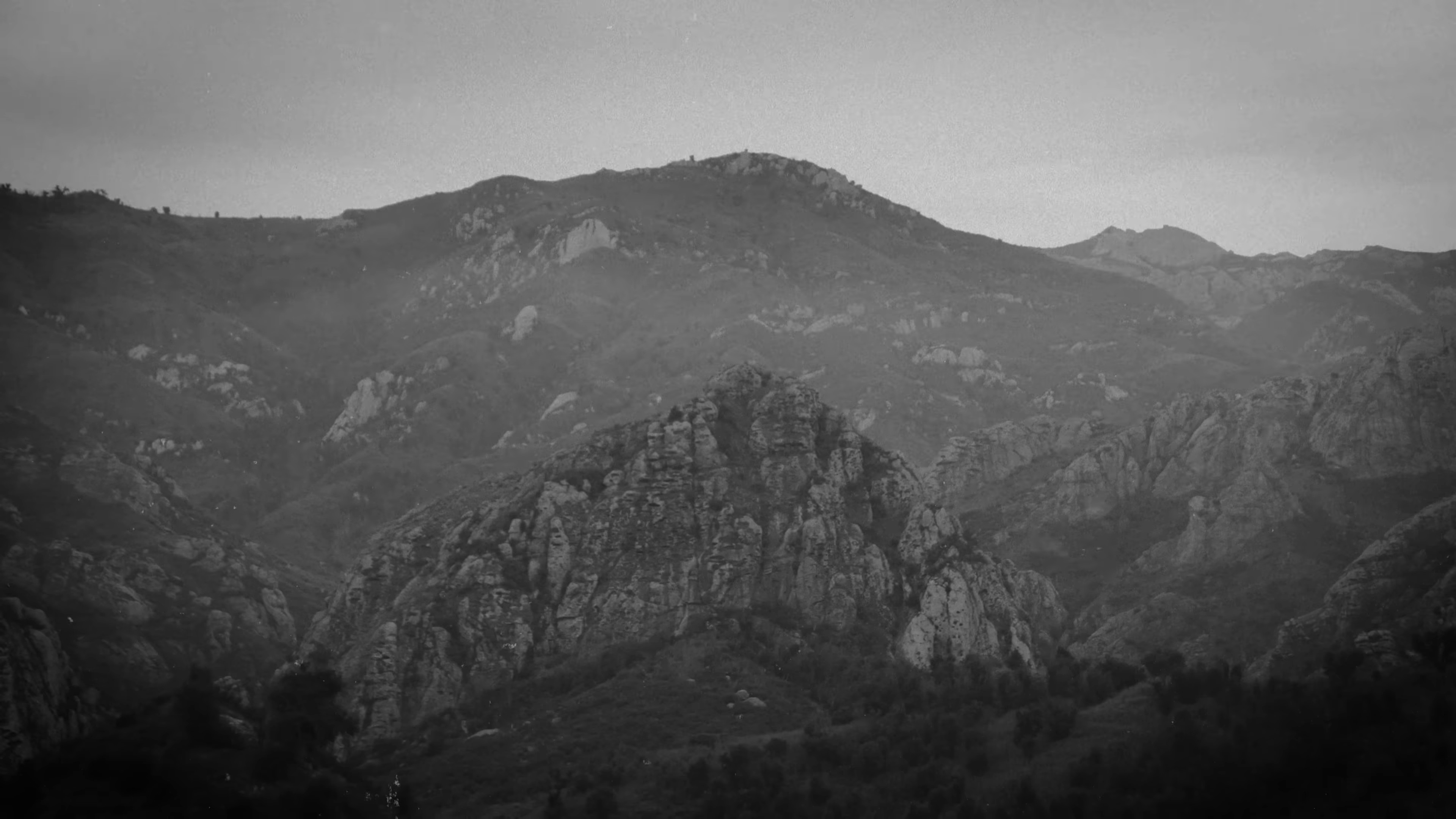 Instincts (2024) —  shot,  lighting