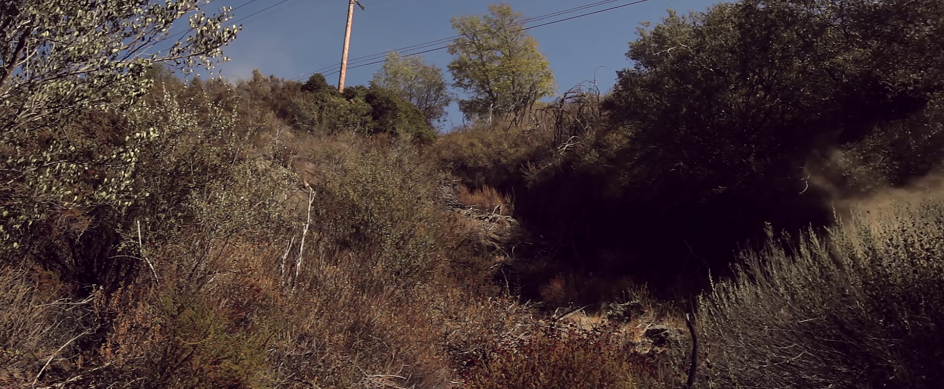 The One That Got Away (2011) —  shot,  lighting