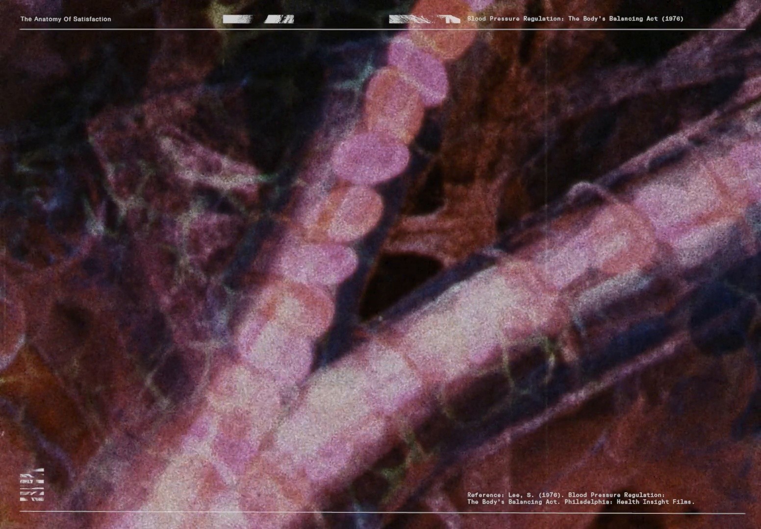 RAPHA | THE ANATOMY OF SUCCESS (2024) —  shot,  lighting