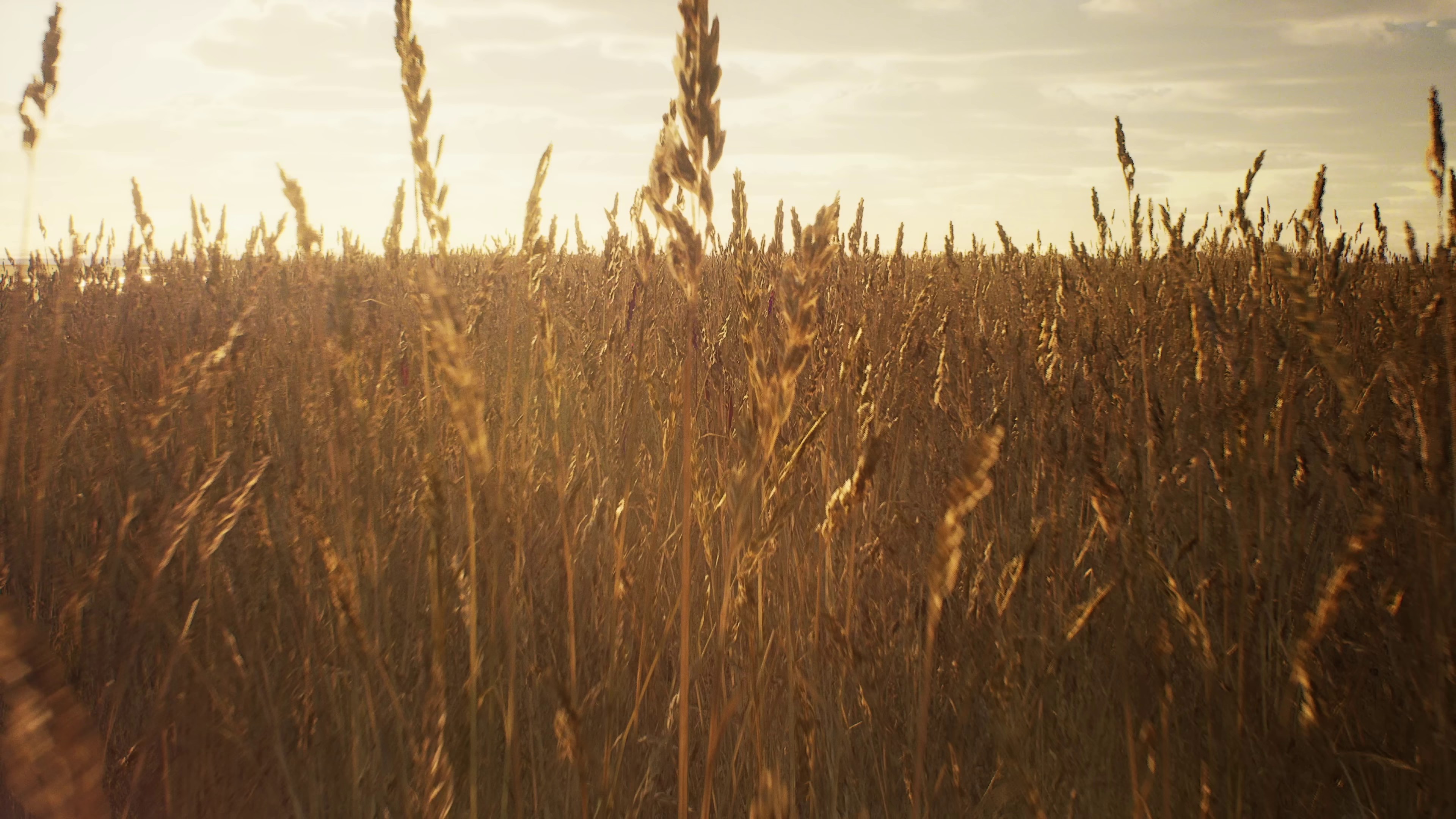 Will Anybody Ever Love Me? (2023) —  shot,  lighting