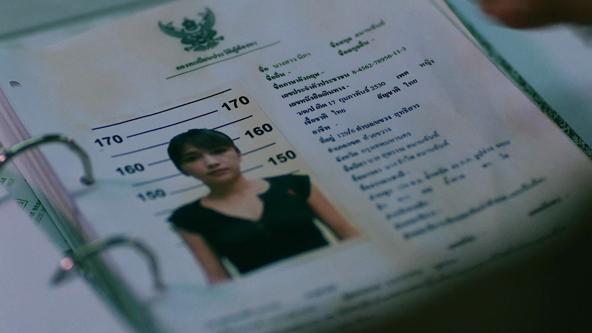 Slice (2009) —  shot,  lighting