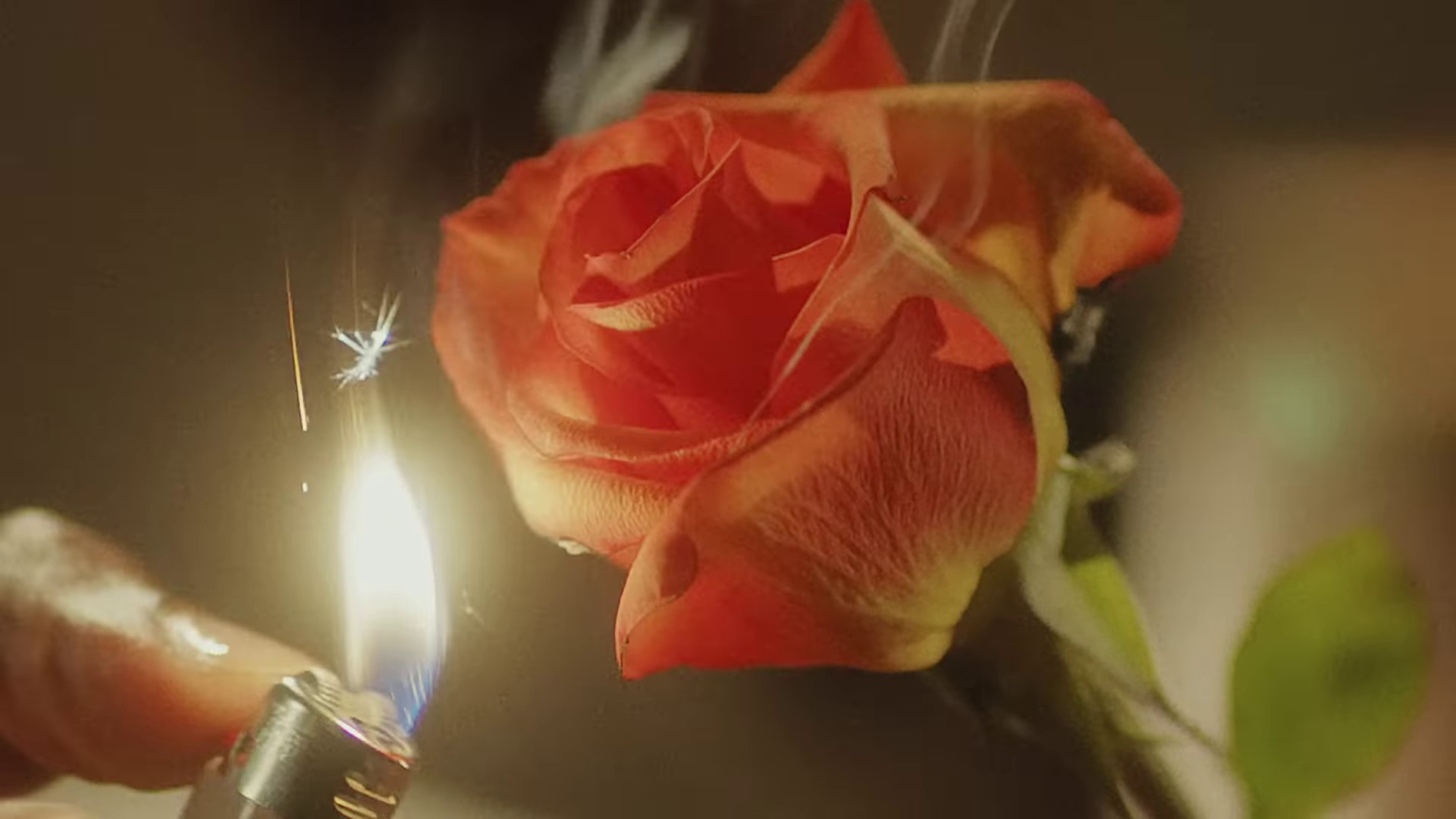 Fallin' (2023) —  shot,  lighting