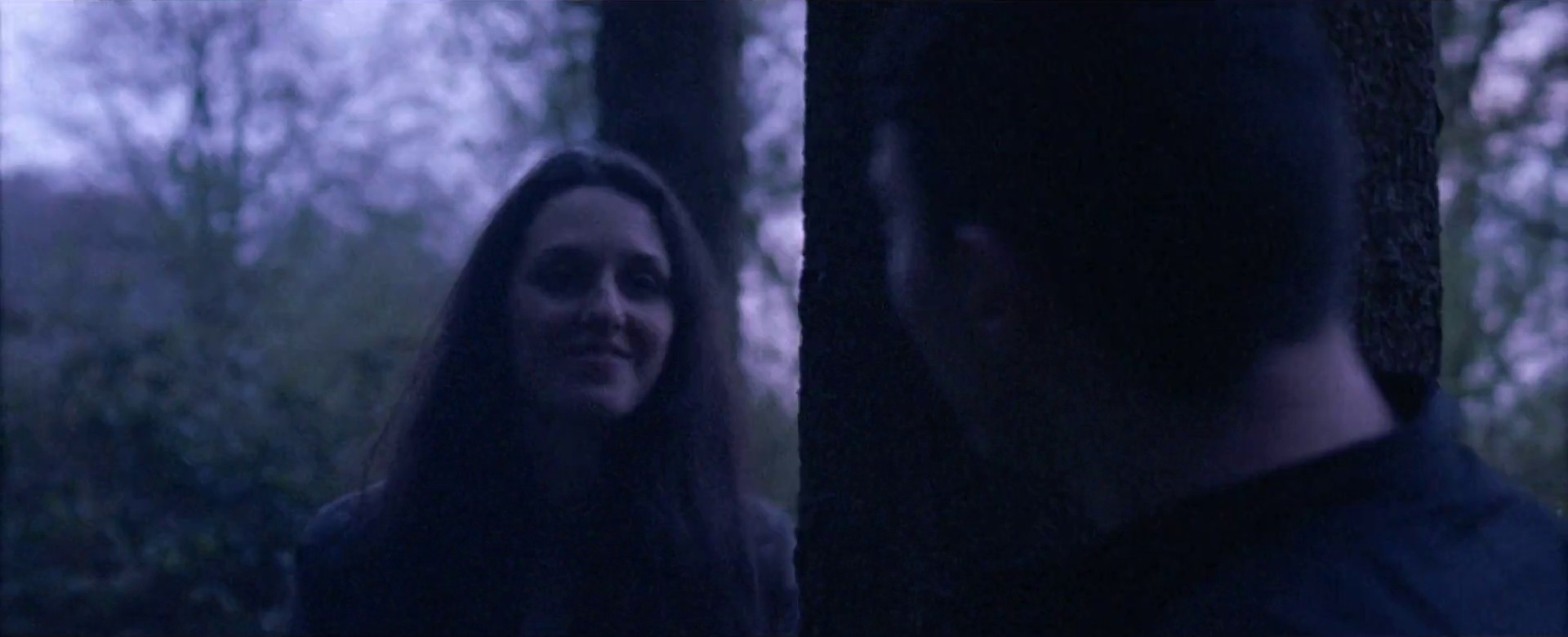 Half Light (2014) —  shot,  lighting