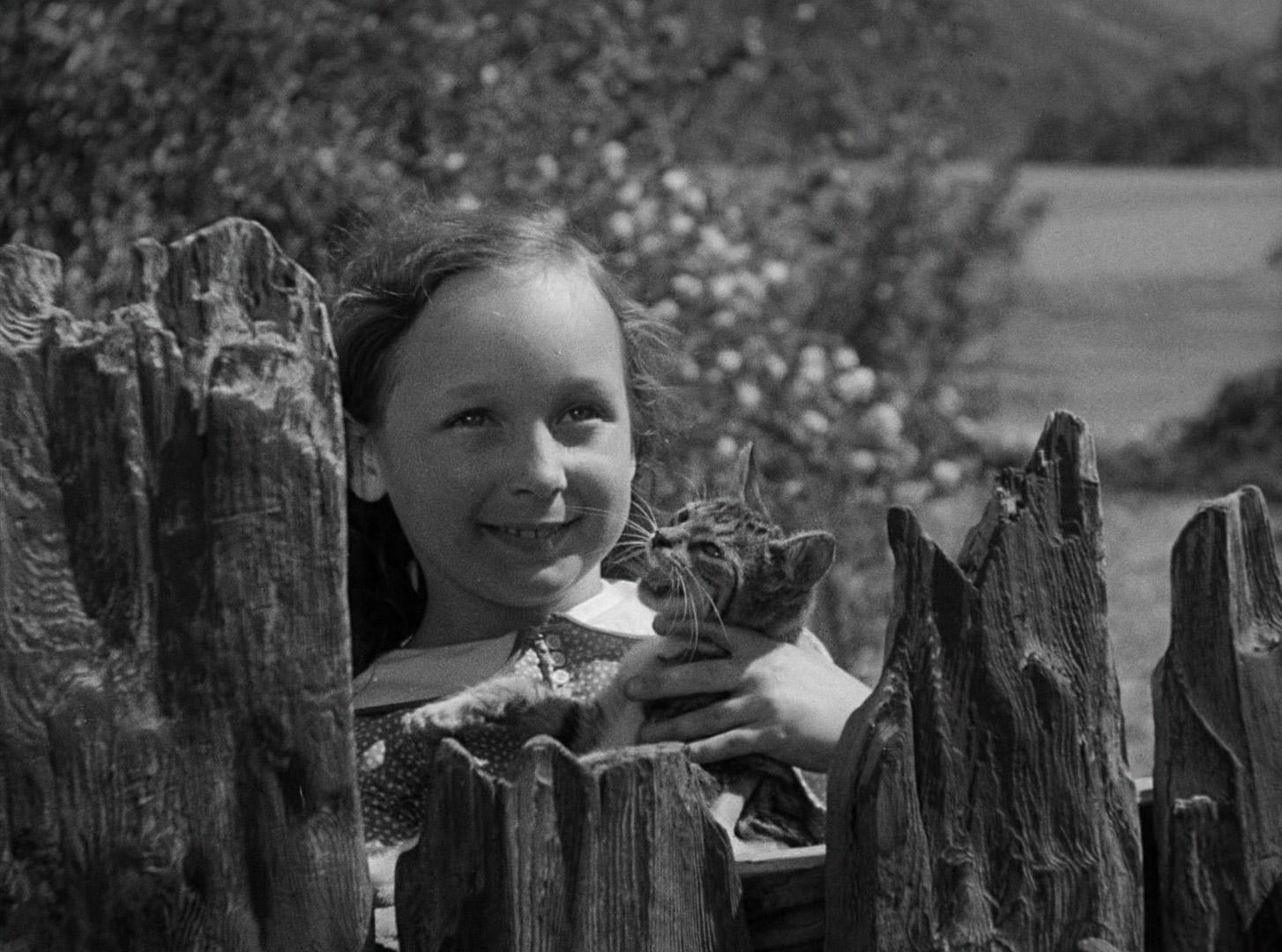 Frankenstein (1931) —  shot,  lighting