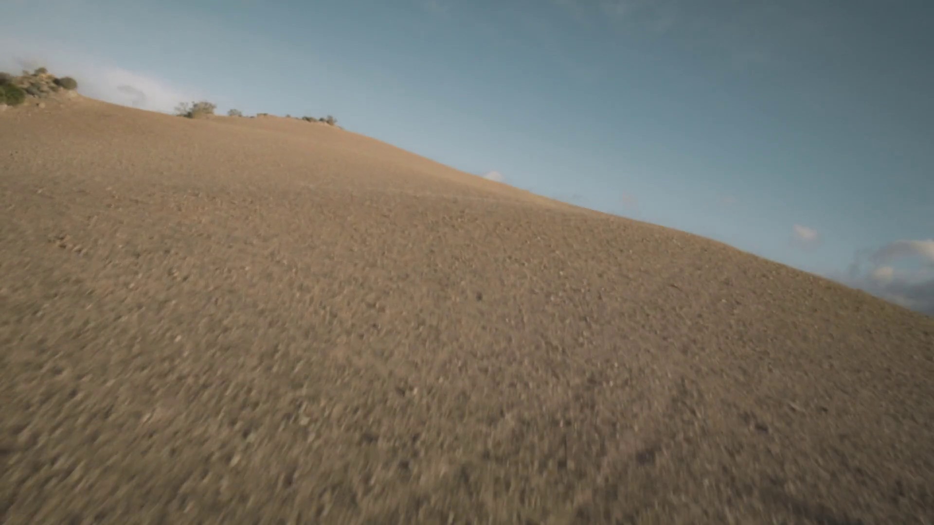 Sandro (2024) —  shot,  lighting