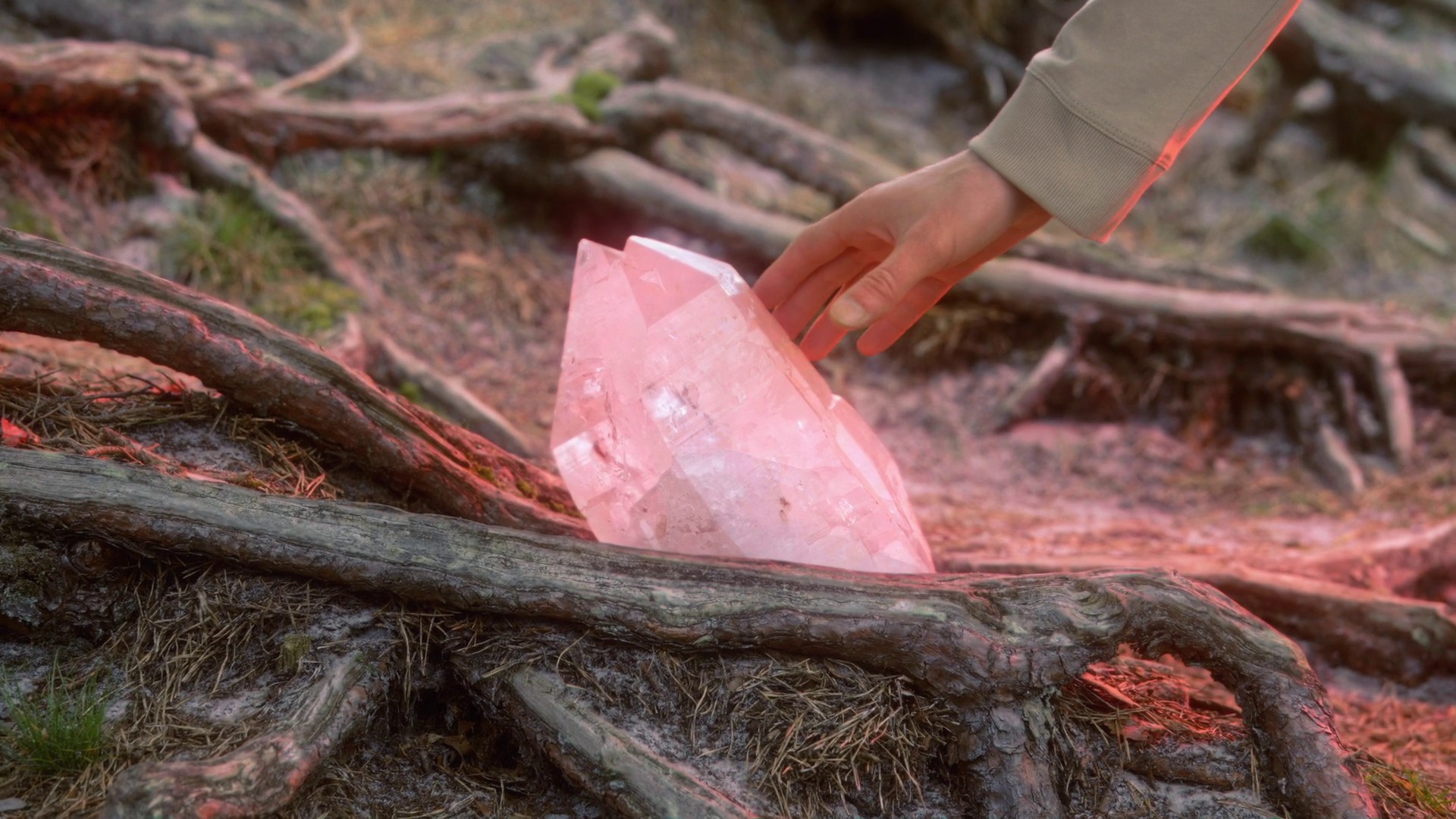 What Holds (2022) —  shot,  lighting