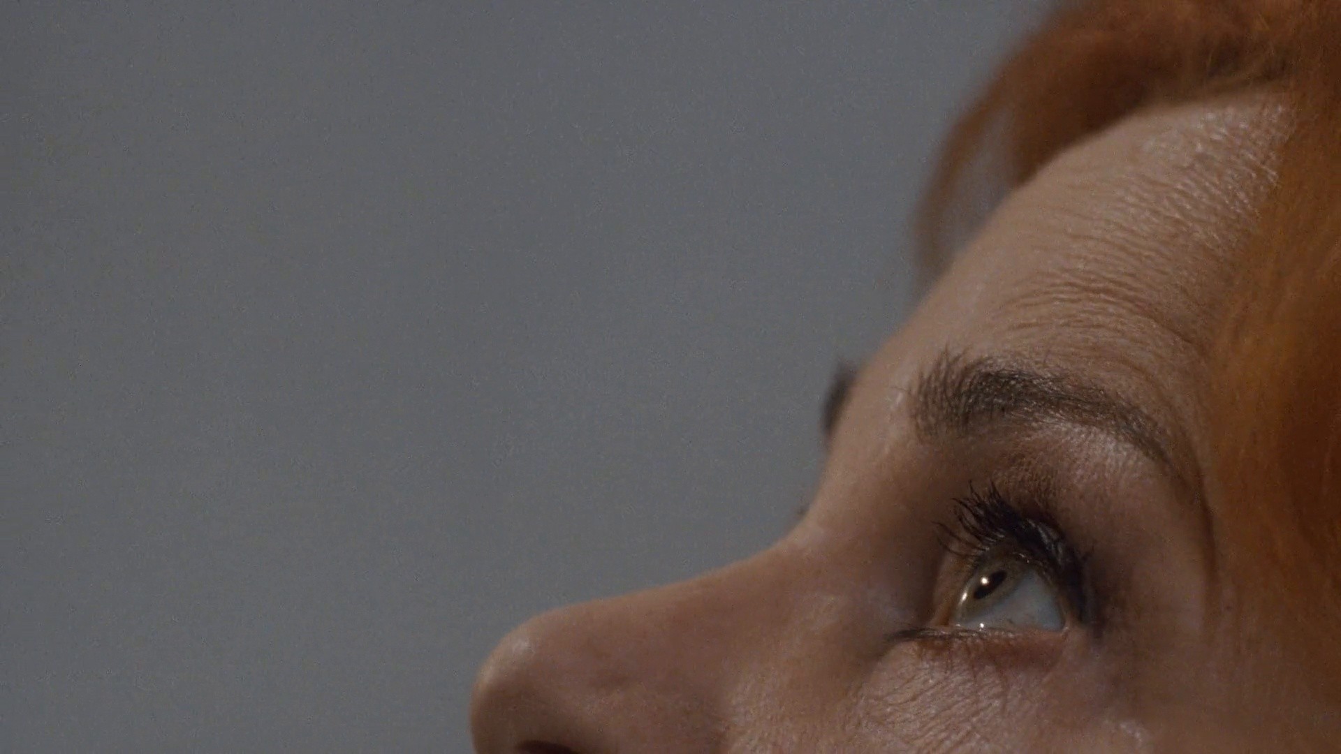 Insect (2018) —  shot,  lighting