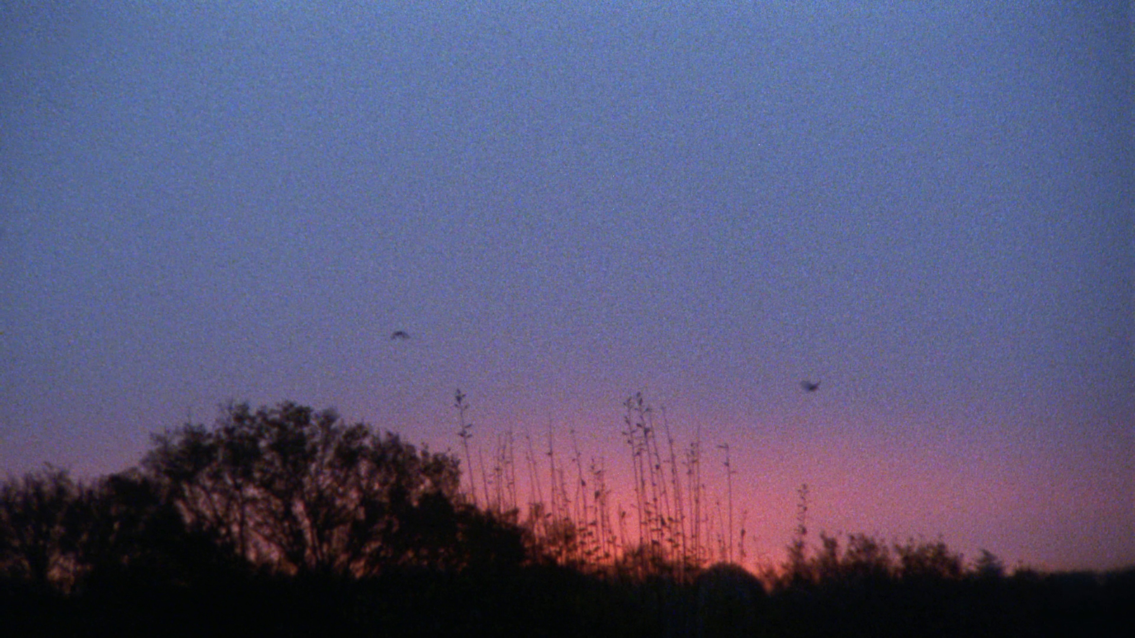 BURBERRY I HARRODS Knight Blue 024 (2024) —  shot,  lighting