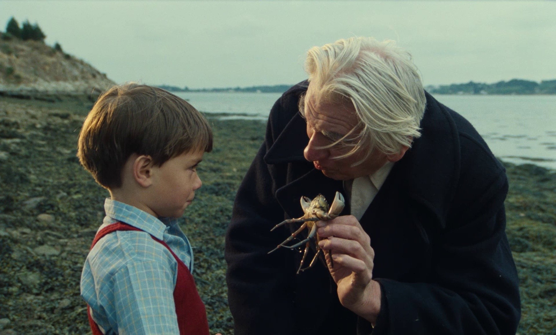 My American Uncle (1981) —  shot,  lighting