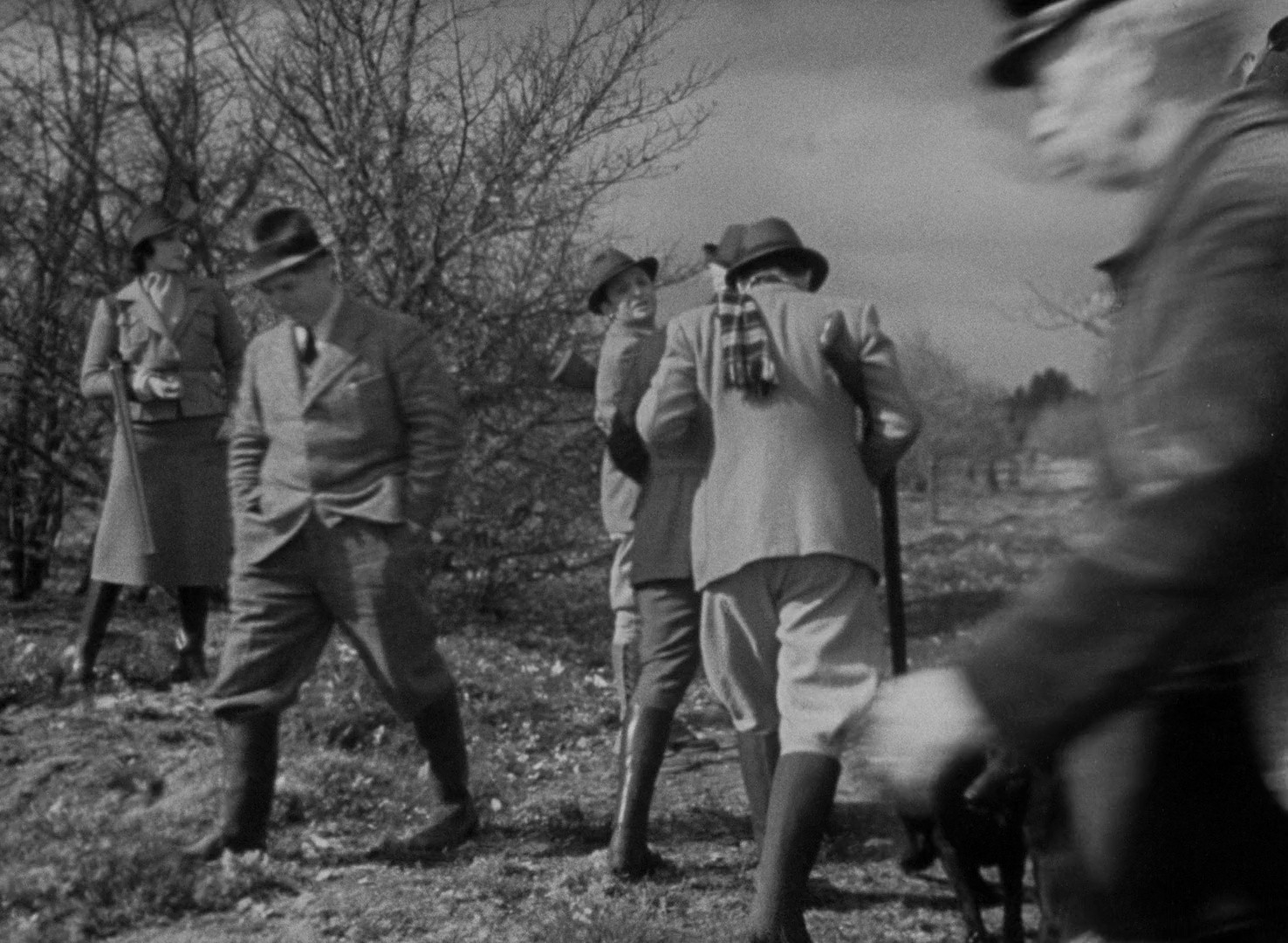 The Rules of the Game (1972) —  shot,  lighting