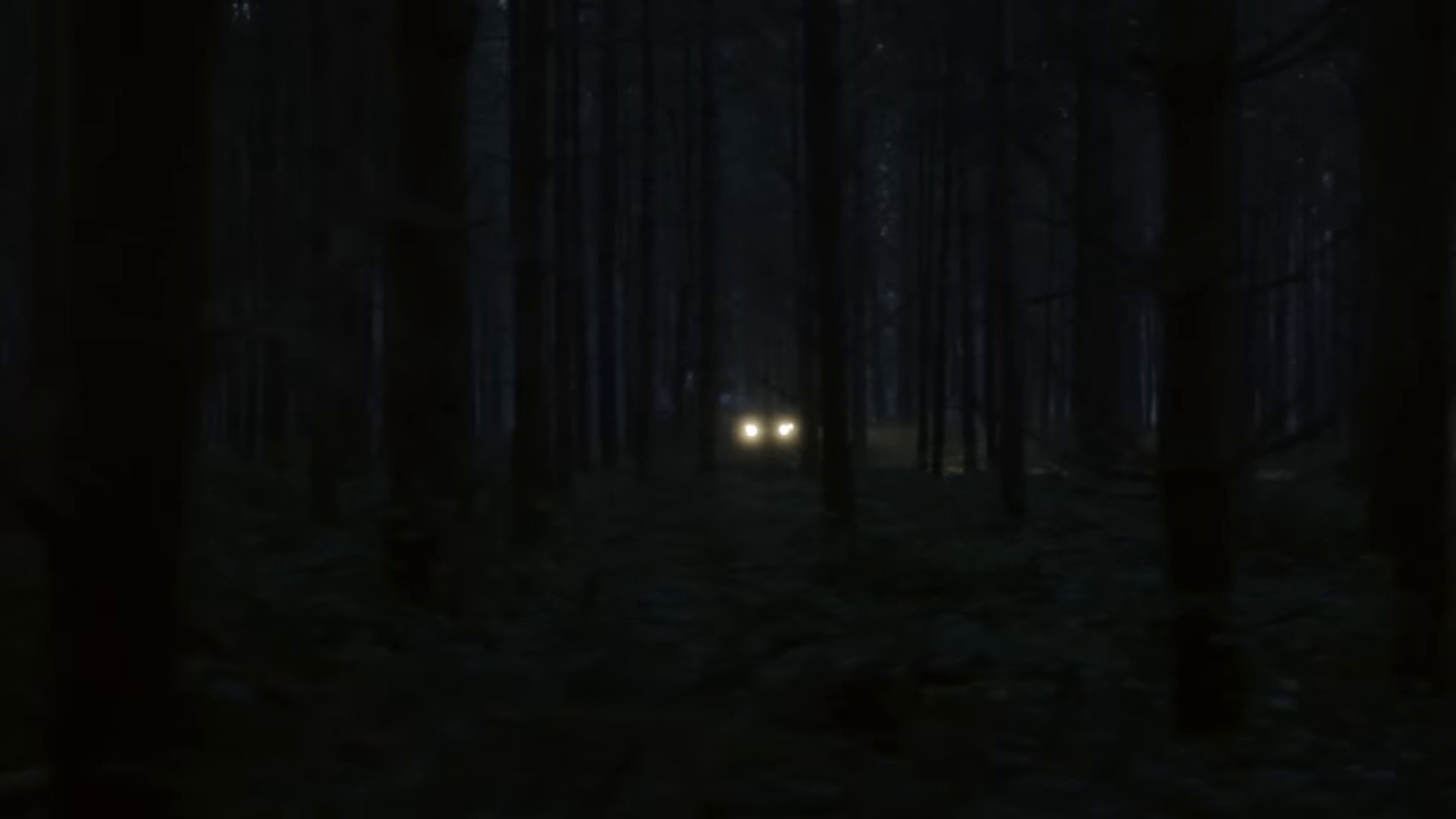 OZEBA (2024) —  shot,  lighting