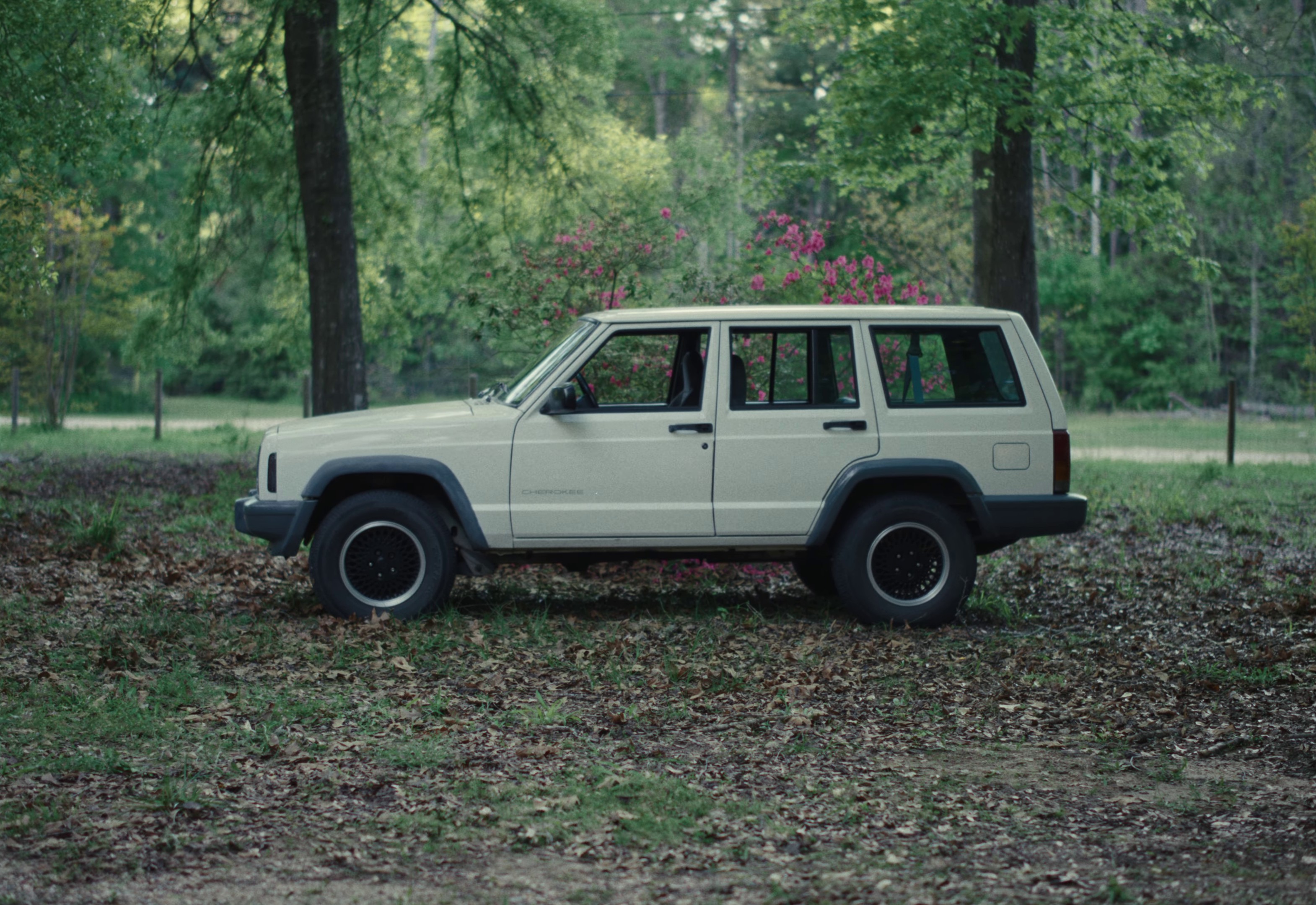 I Let Him Love Me (2024) —  shot,  lighting